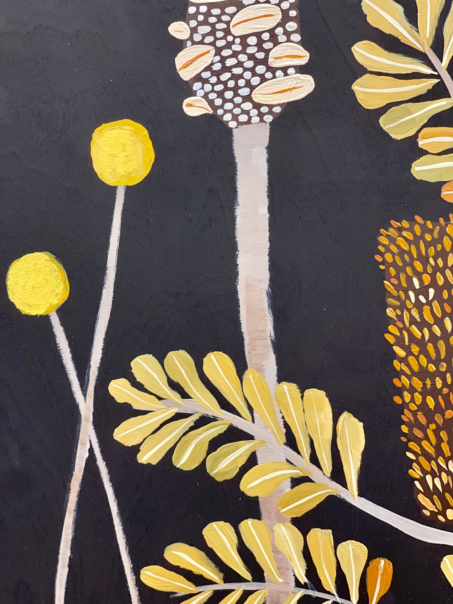 Pod and Banksia #7