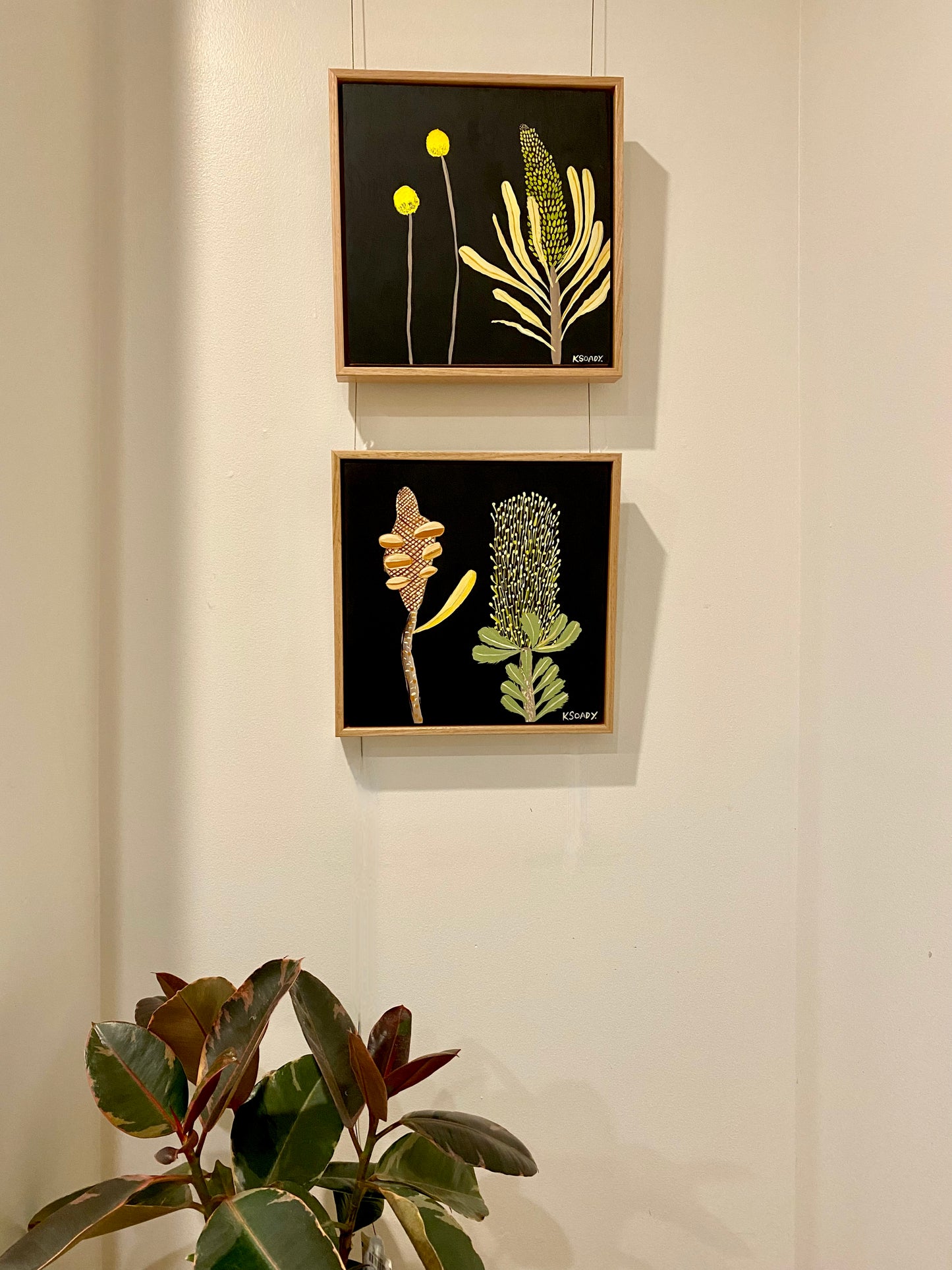 Banksia and Billy Buttons