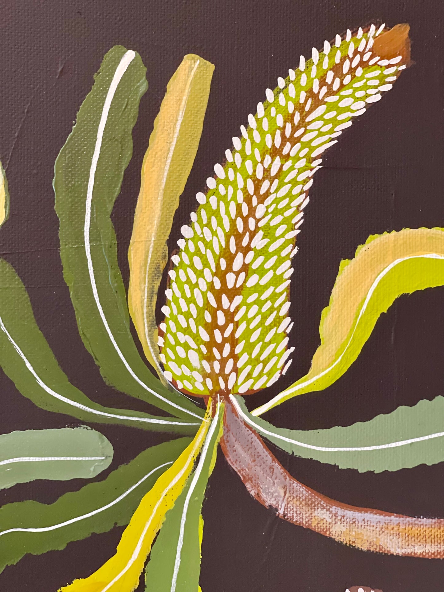 Banksia and Pods