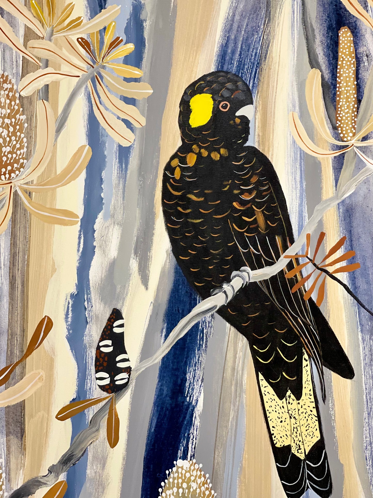 Black Cockatoos in Summer