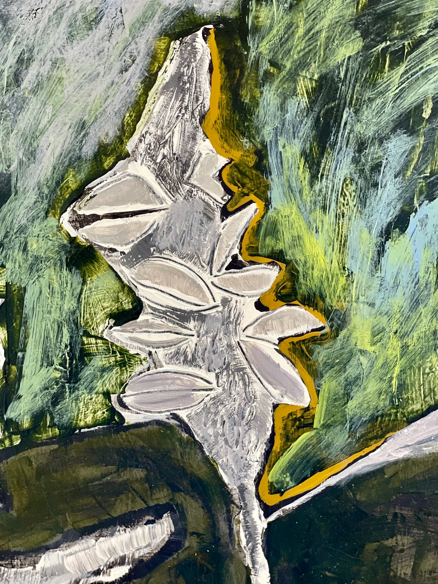 Banksia Pods