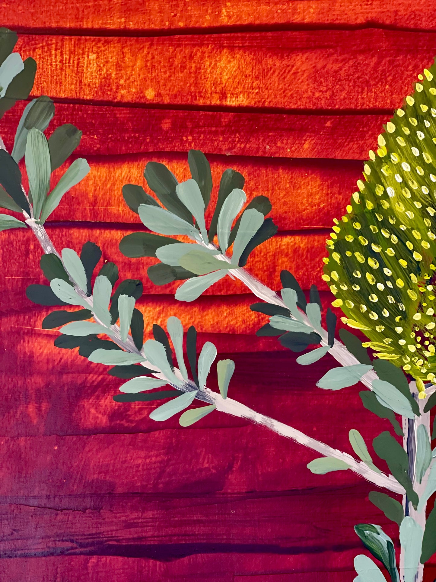 Banksia #16