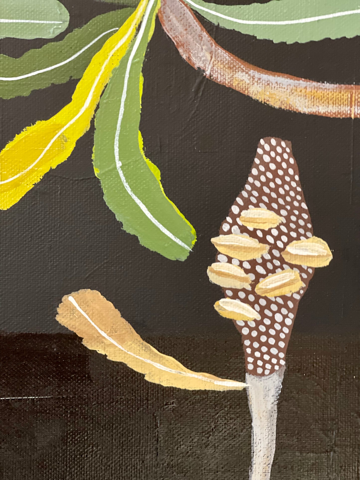 Banksia and Pods