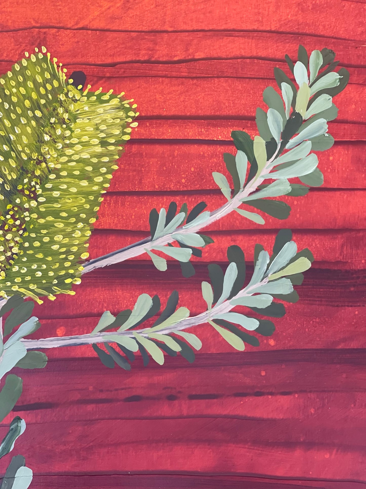 Banksia #16