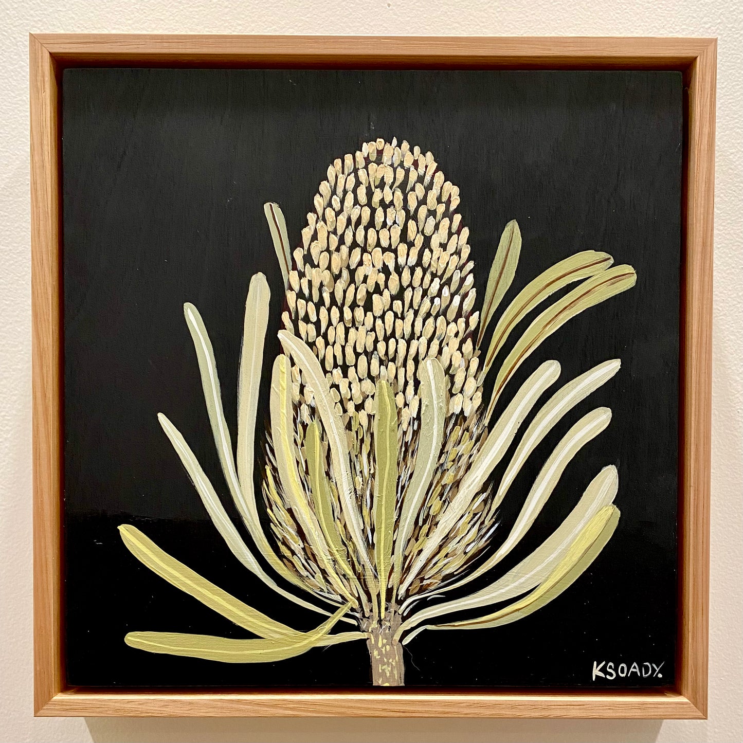 Banksia #4