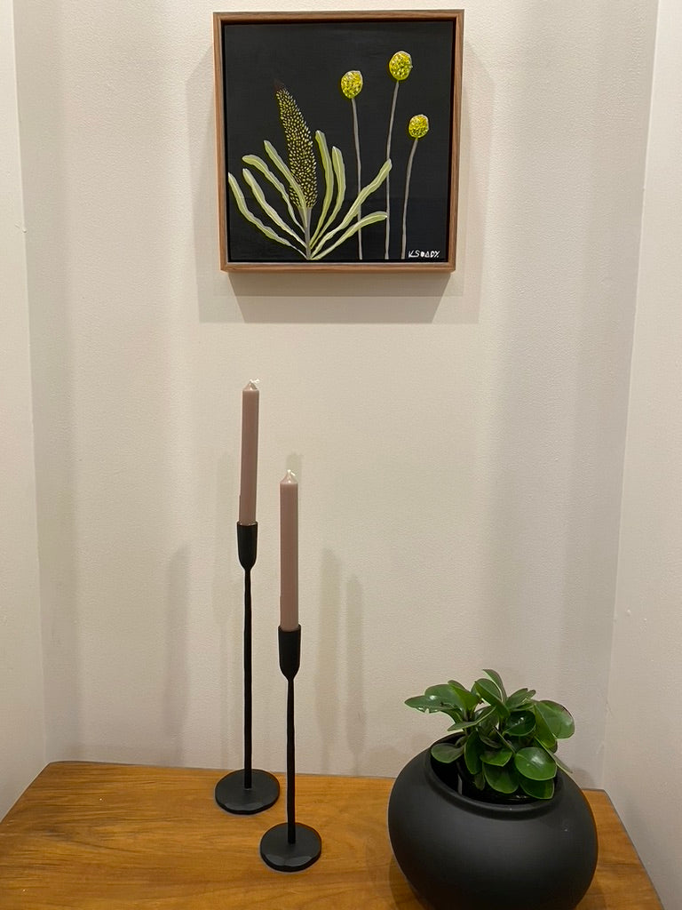 Billy Buttons and Banksia #6