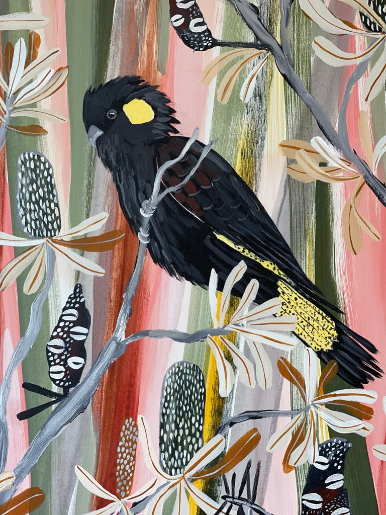 Desert Banksia and Black Cockatoos
