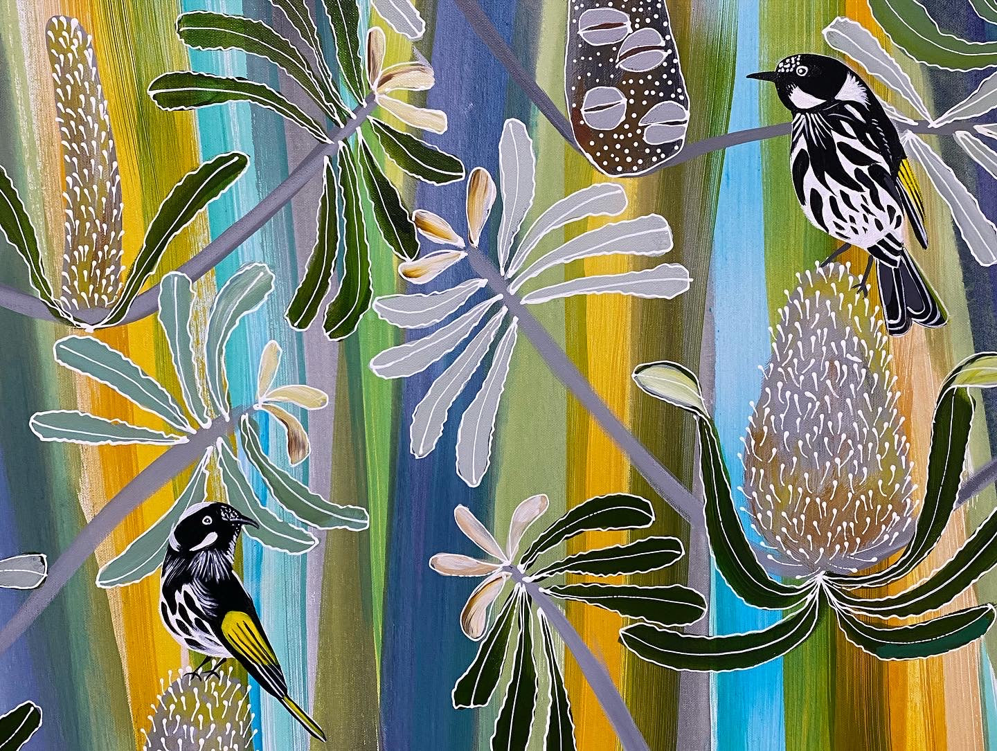 Kookaburra and Honeyeaters in the Banksia - Katoomba