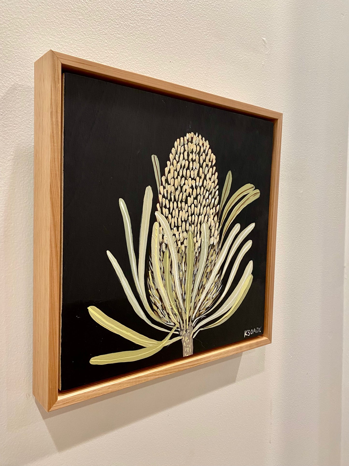 Banksia #4