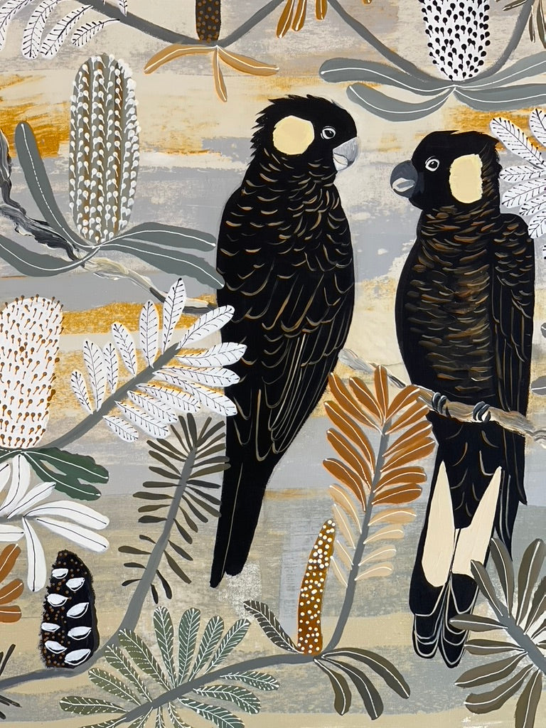 Black Cockatoos in the Banksia (Late Summer)