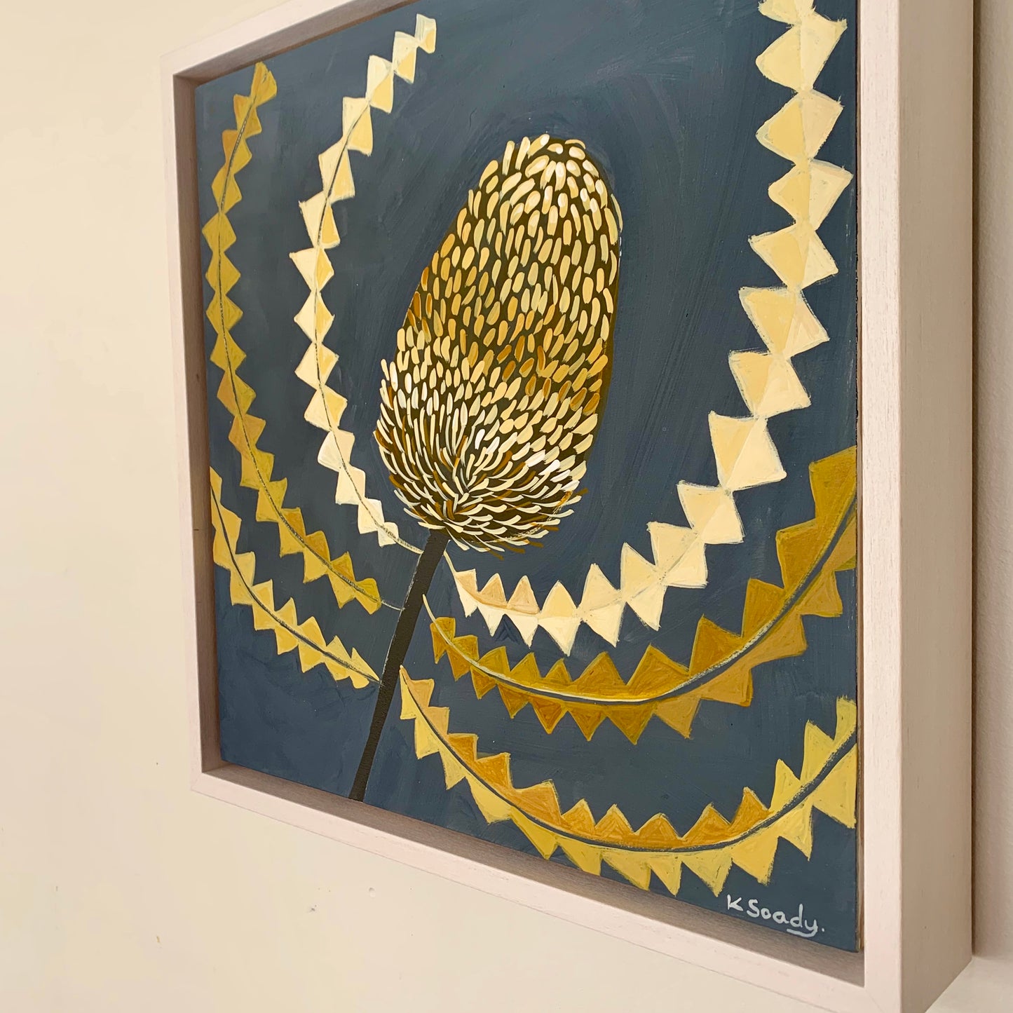 Banksia Menzie #1