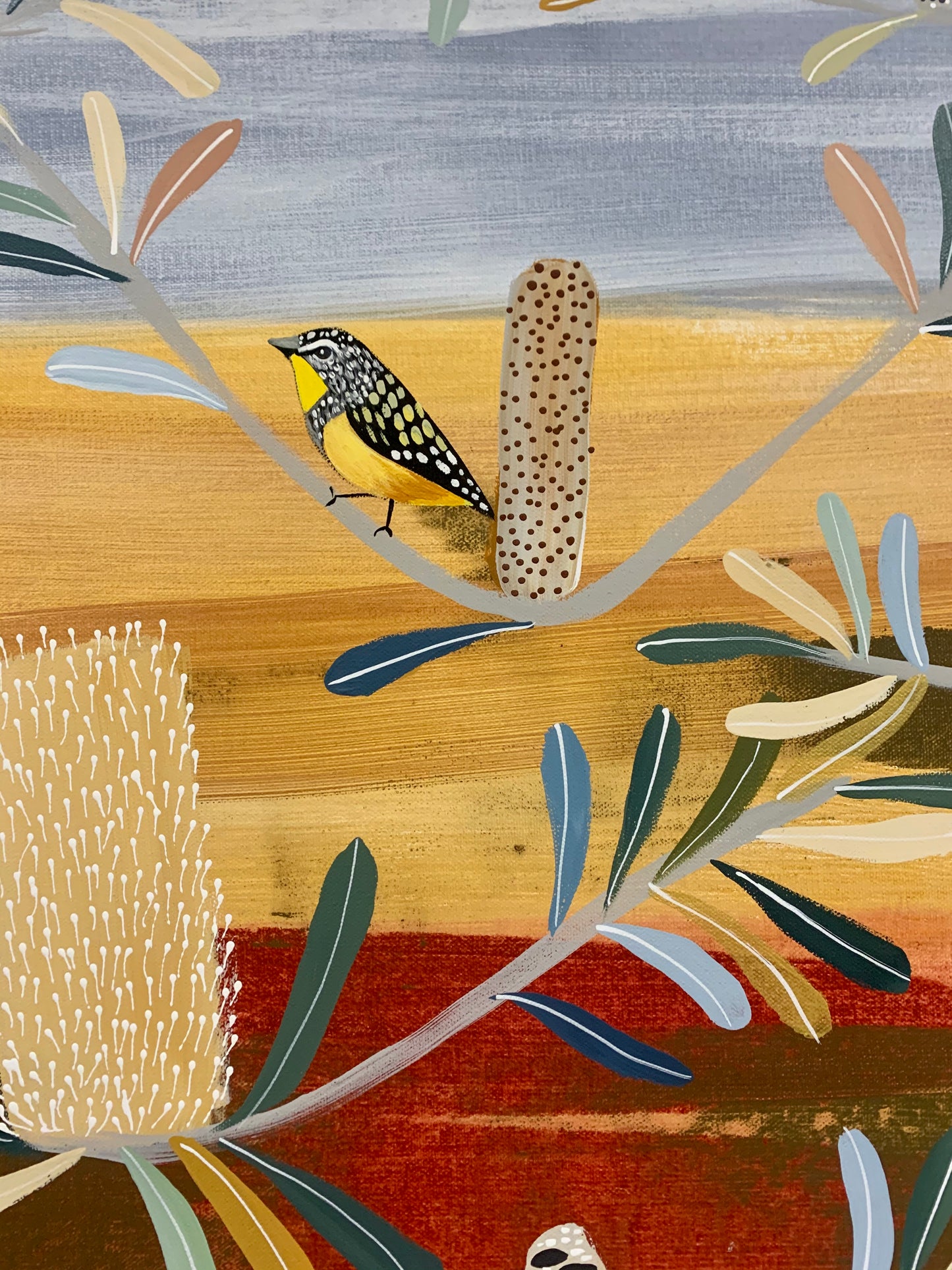 Native Pardalotes in the Banksia