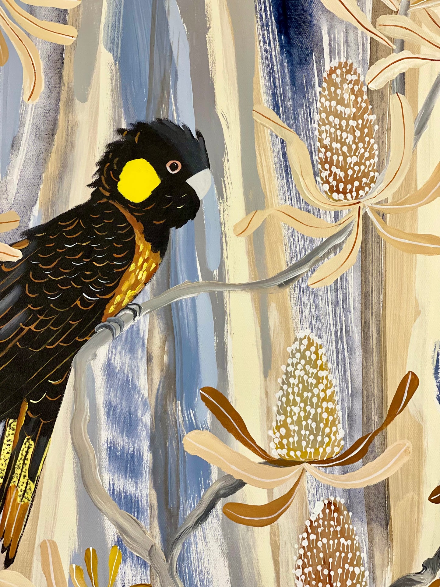 Black Cockatoos in Summer