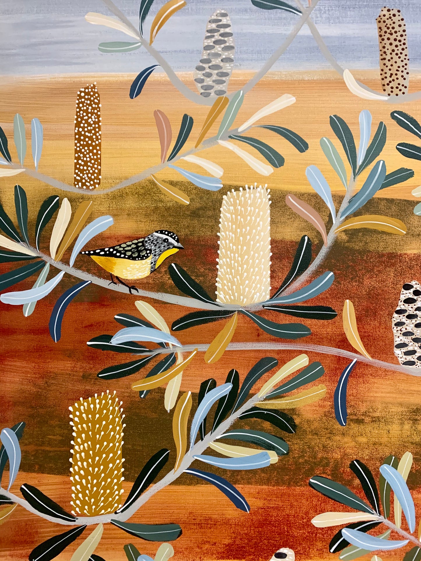 Native Pardalotes in the Banksia