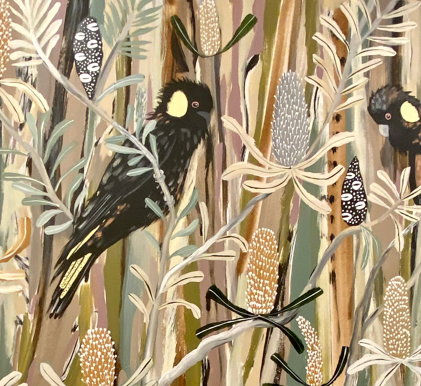 Autumn Black Cockatoos