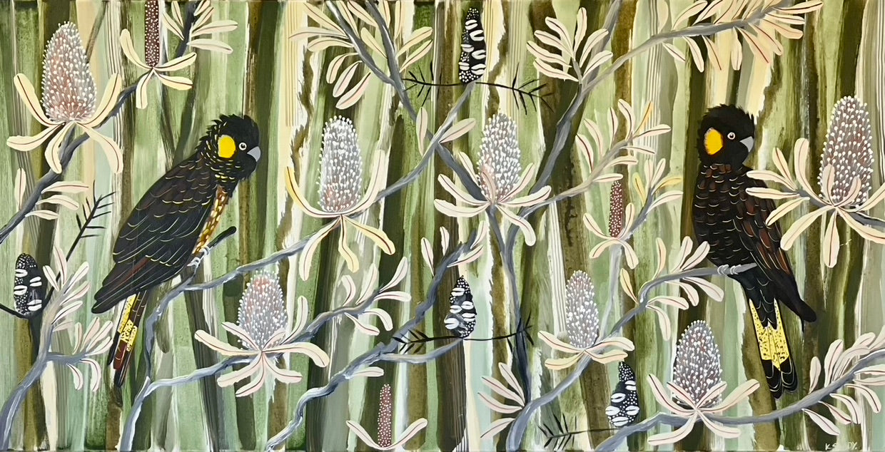 Black Cockatoos