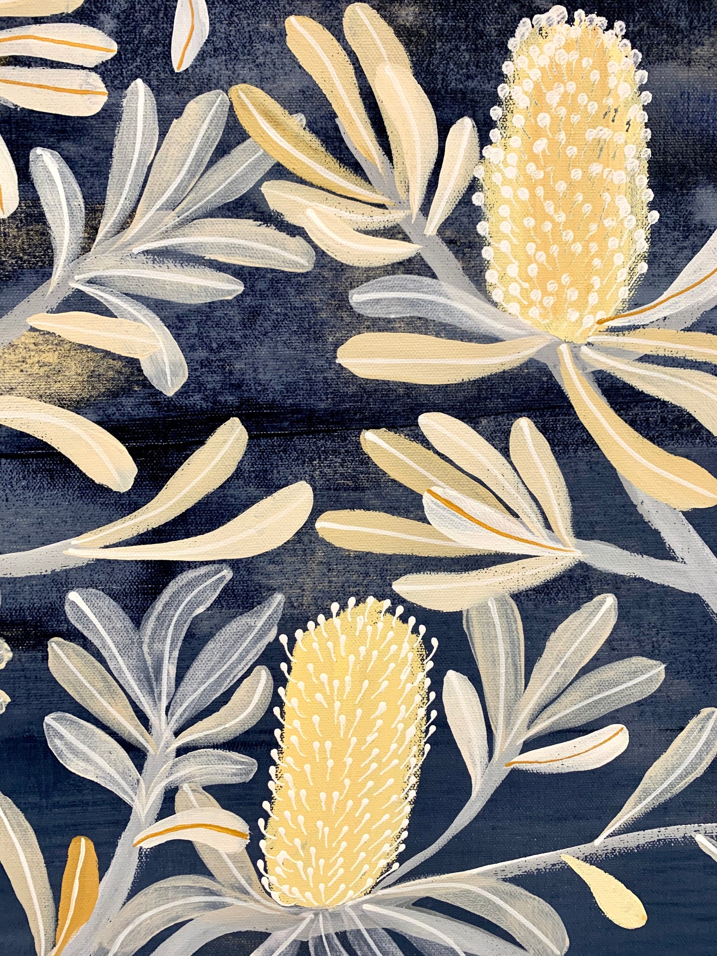 Blue Mountains Native #1