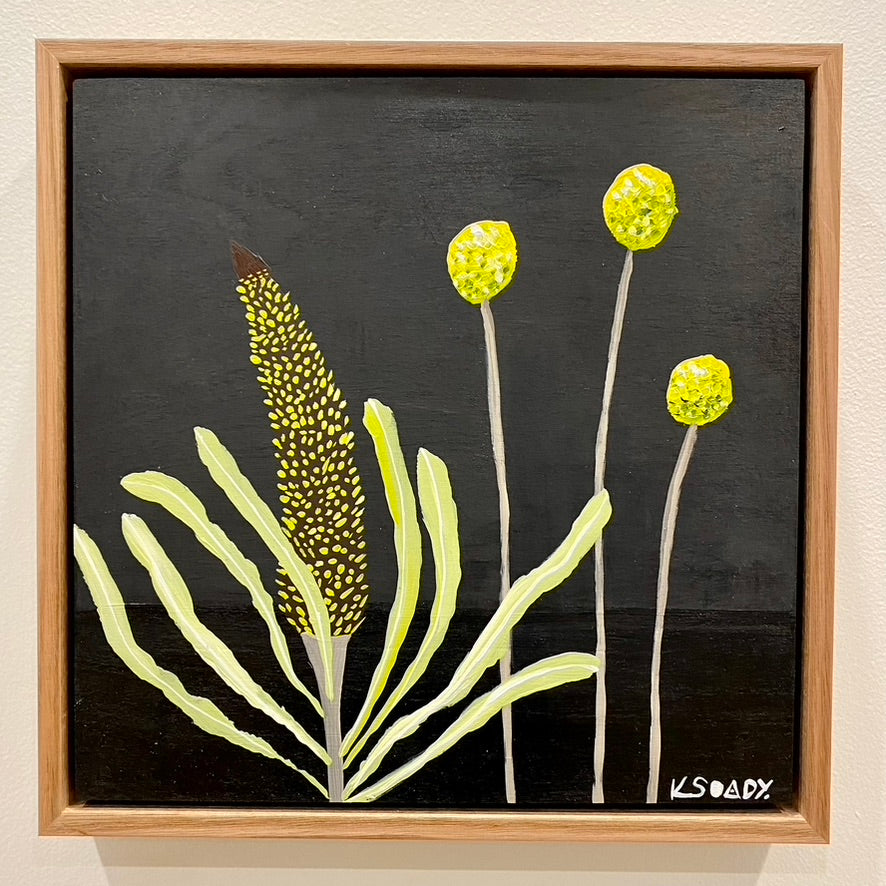 Billy Buttons and Banksia #6