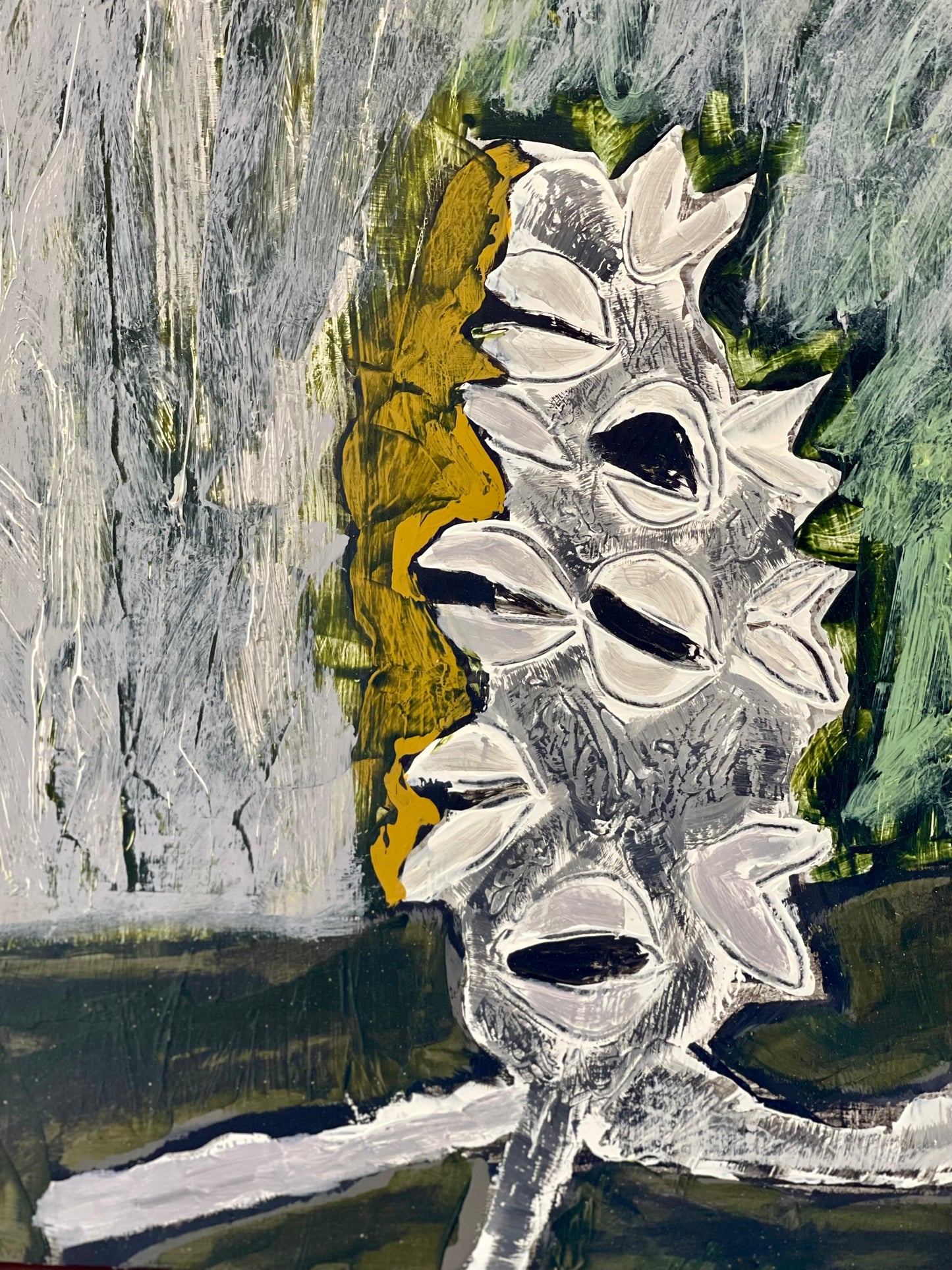 Banksia Pods