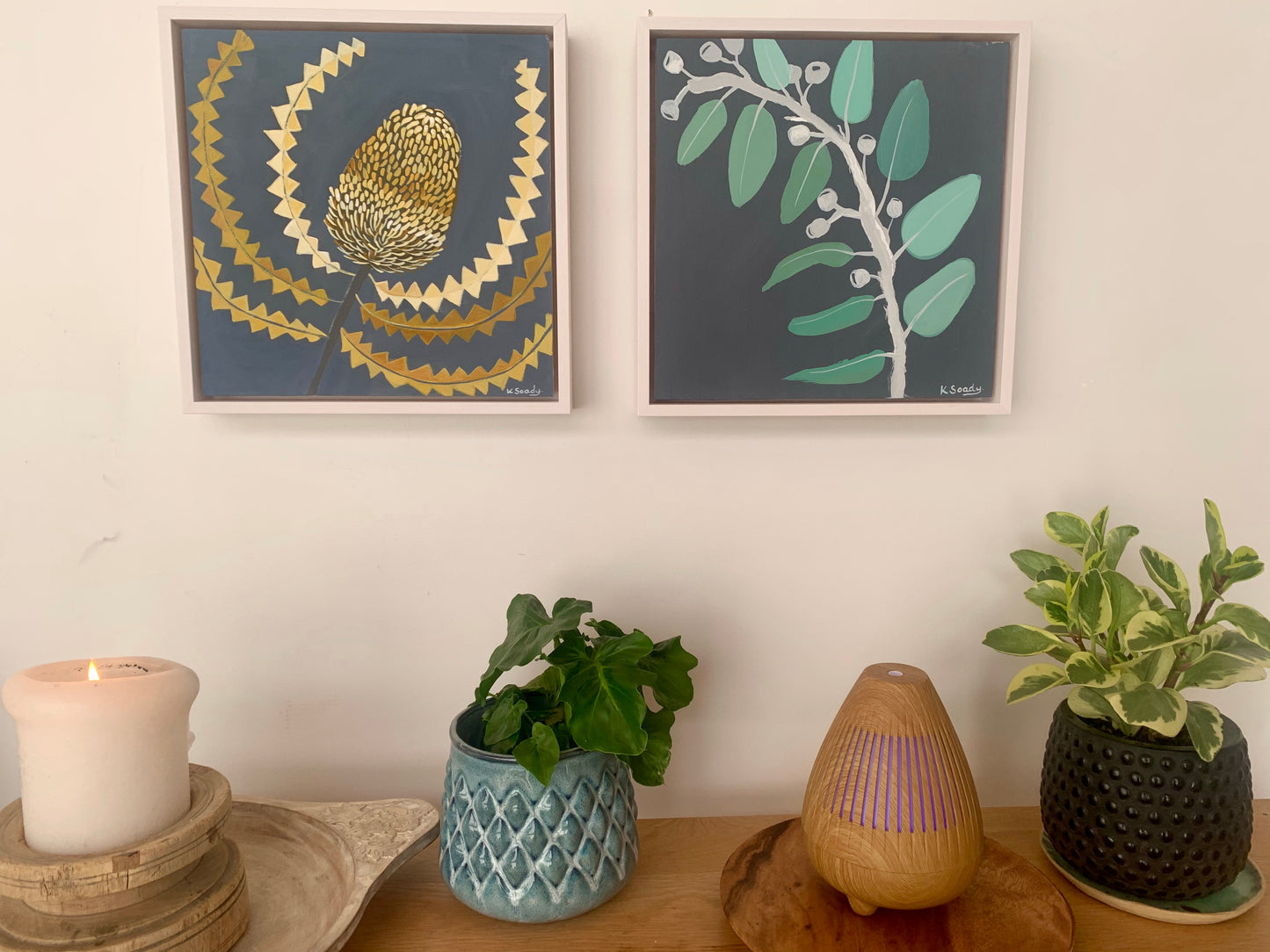 Banksia Menzie #1
