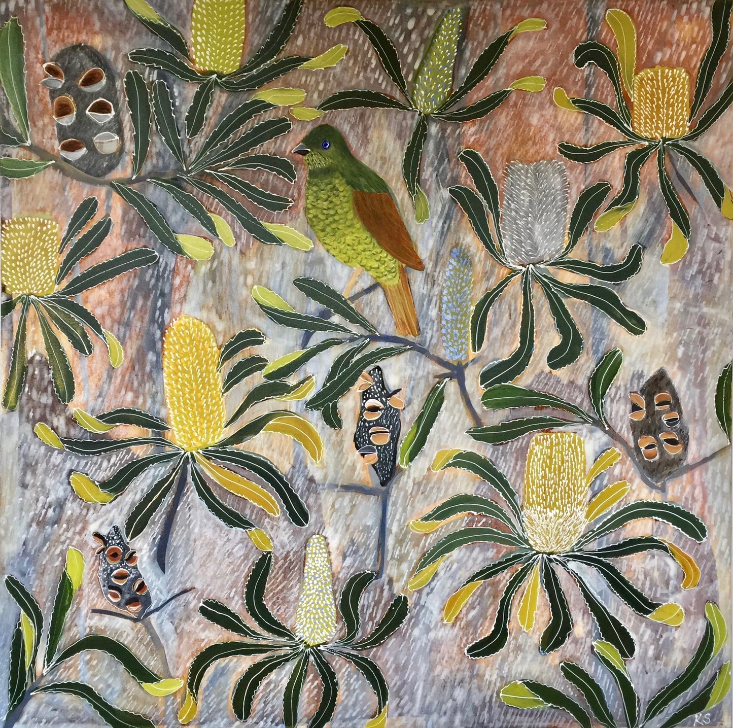 Bowerbird in the Banksia