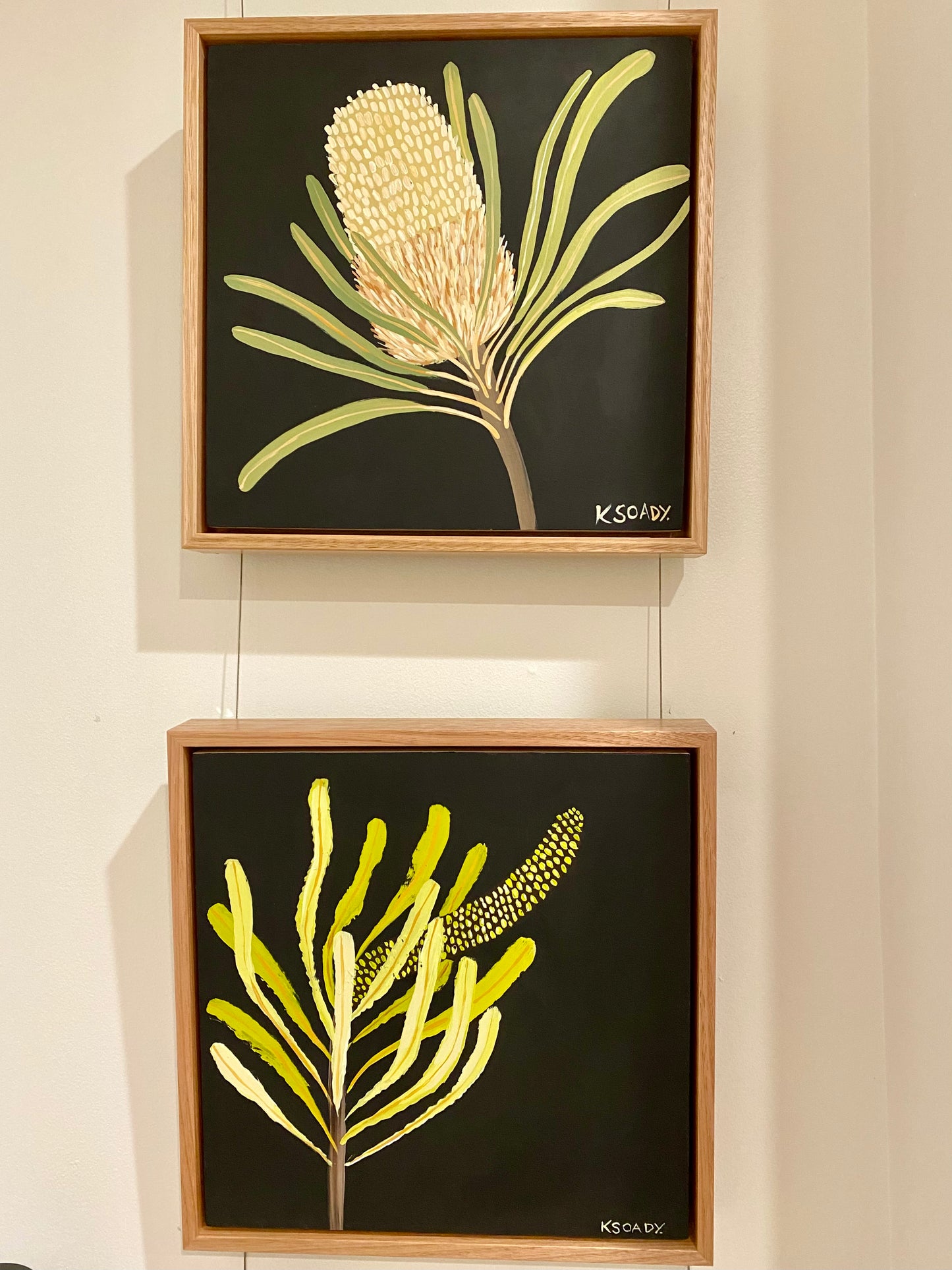 Banksia #5