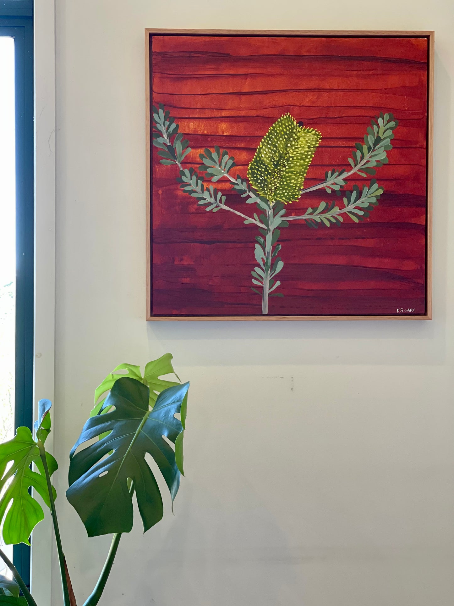 Banksia #16