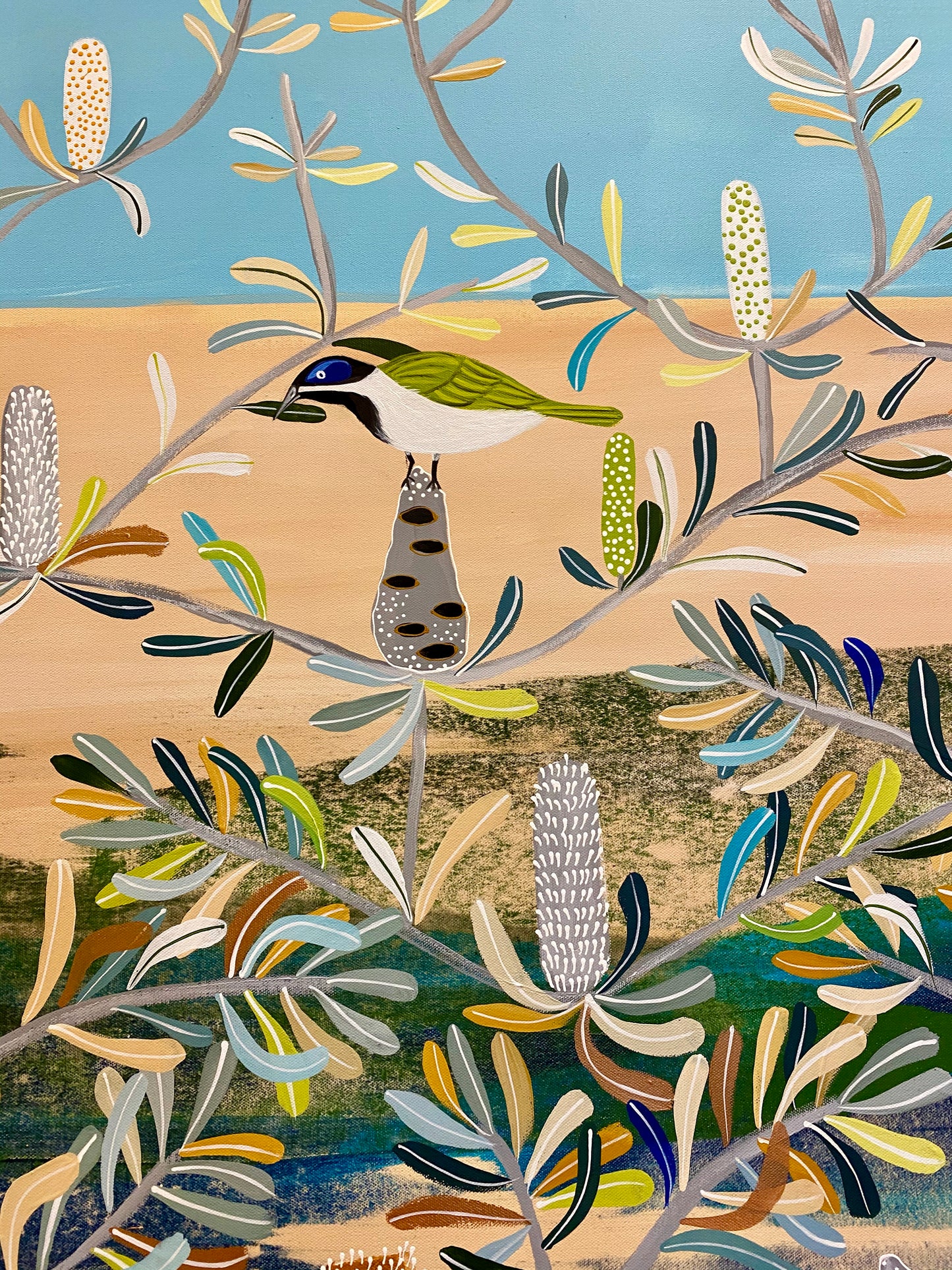 Summer Banksia with Honeyeater