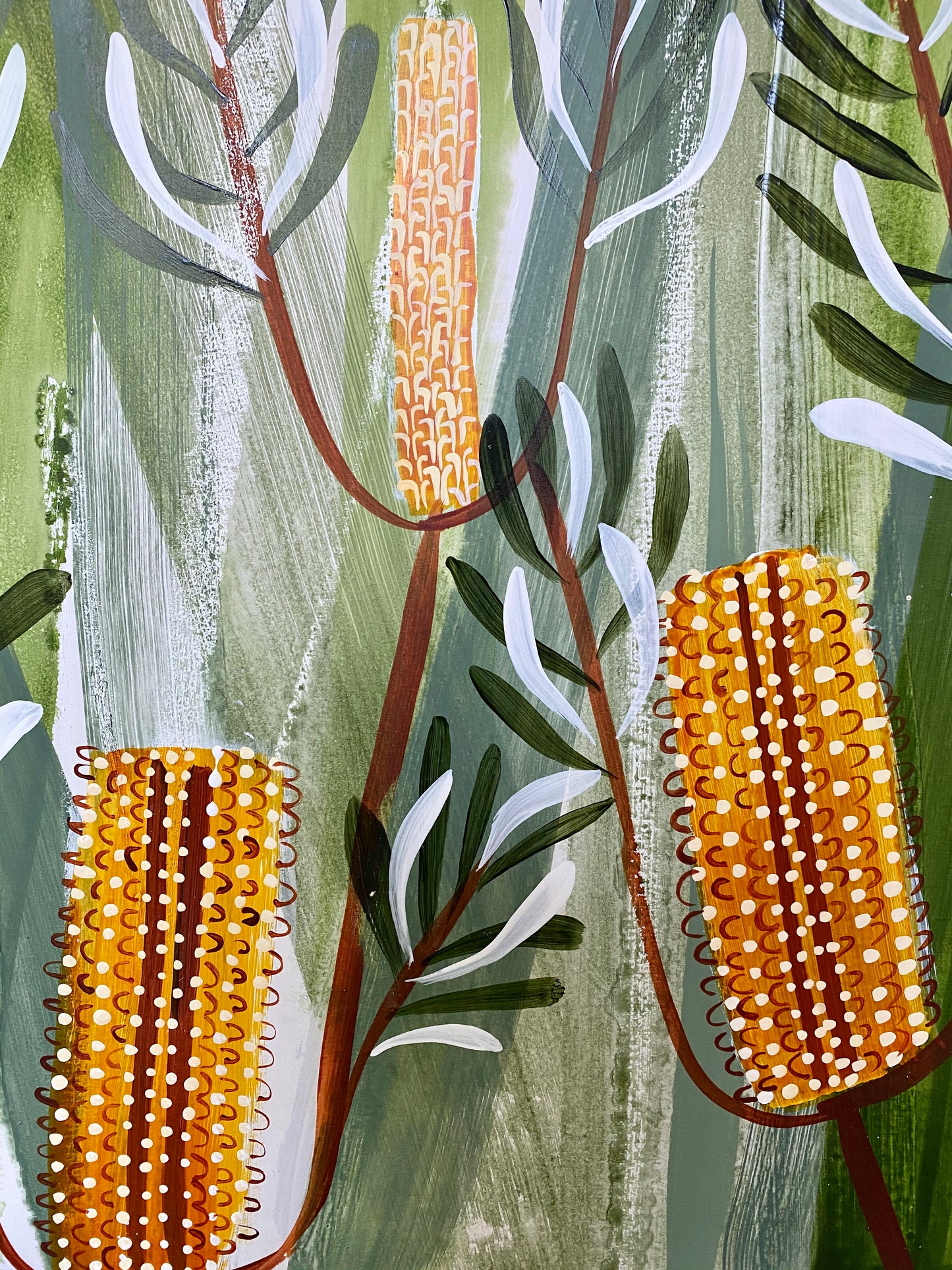 Summer spinulosa #1