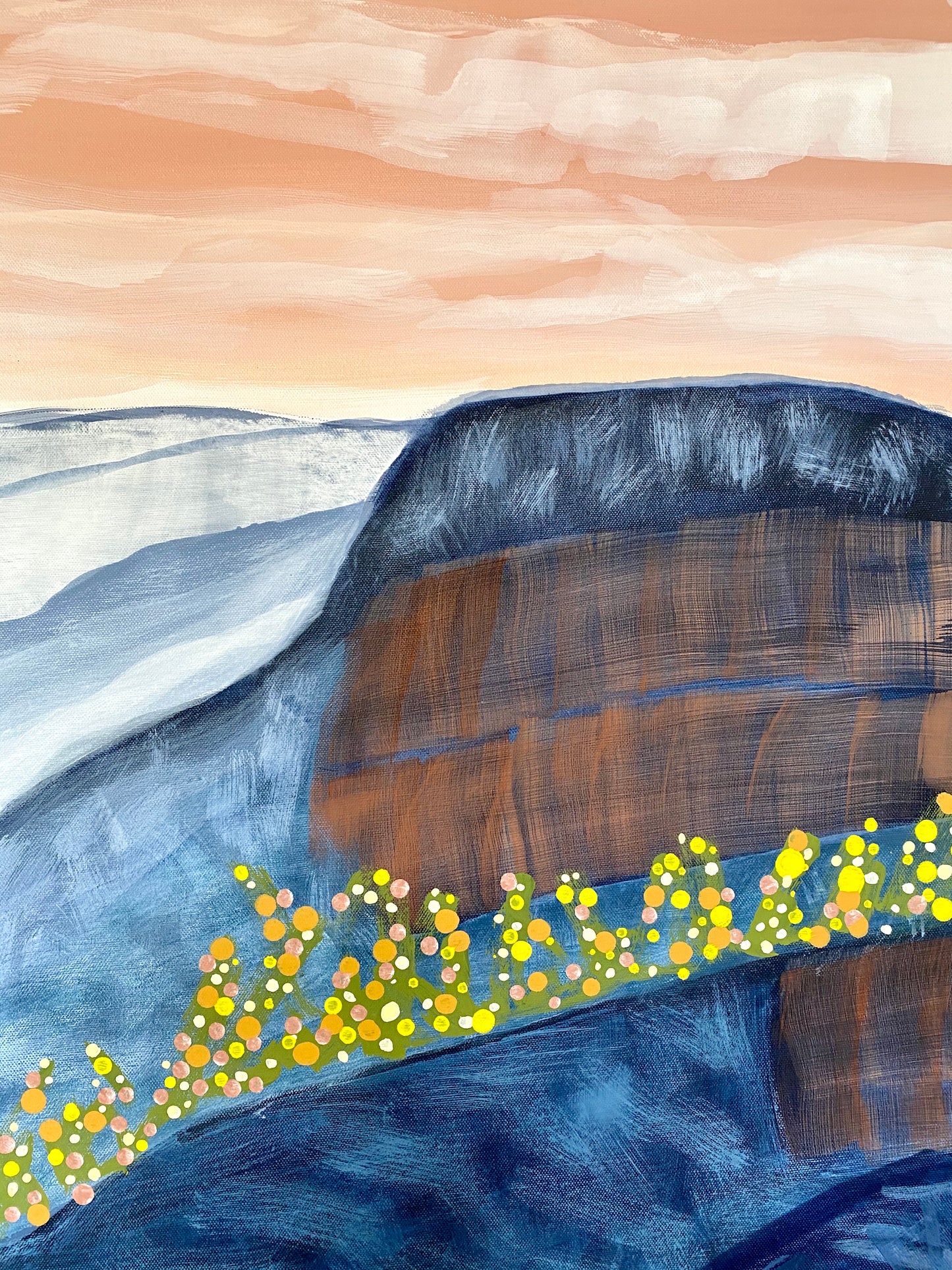 Wattle Mountain Landscape