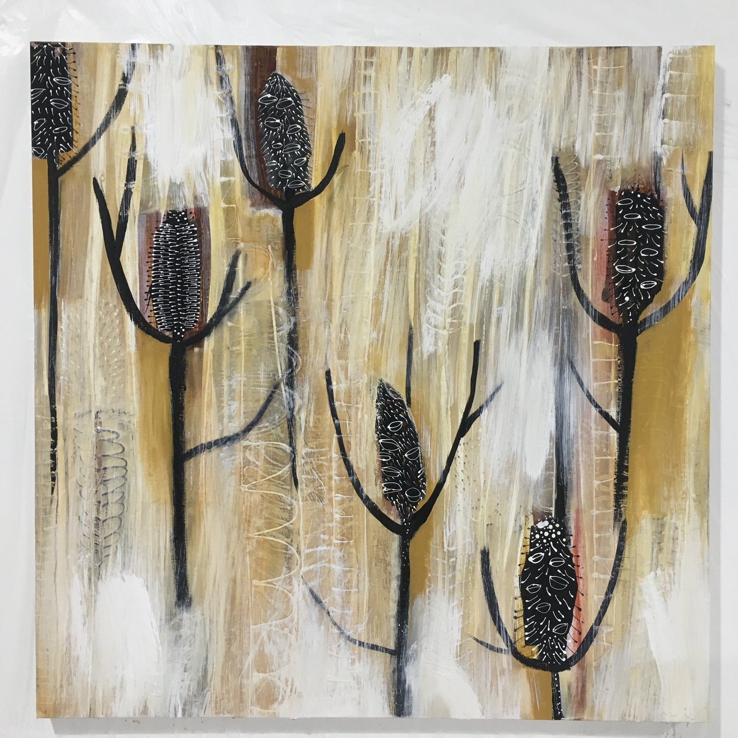Burnt Banksia #2