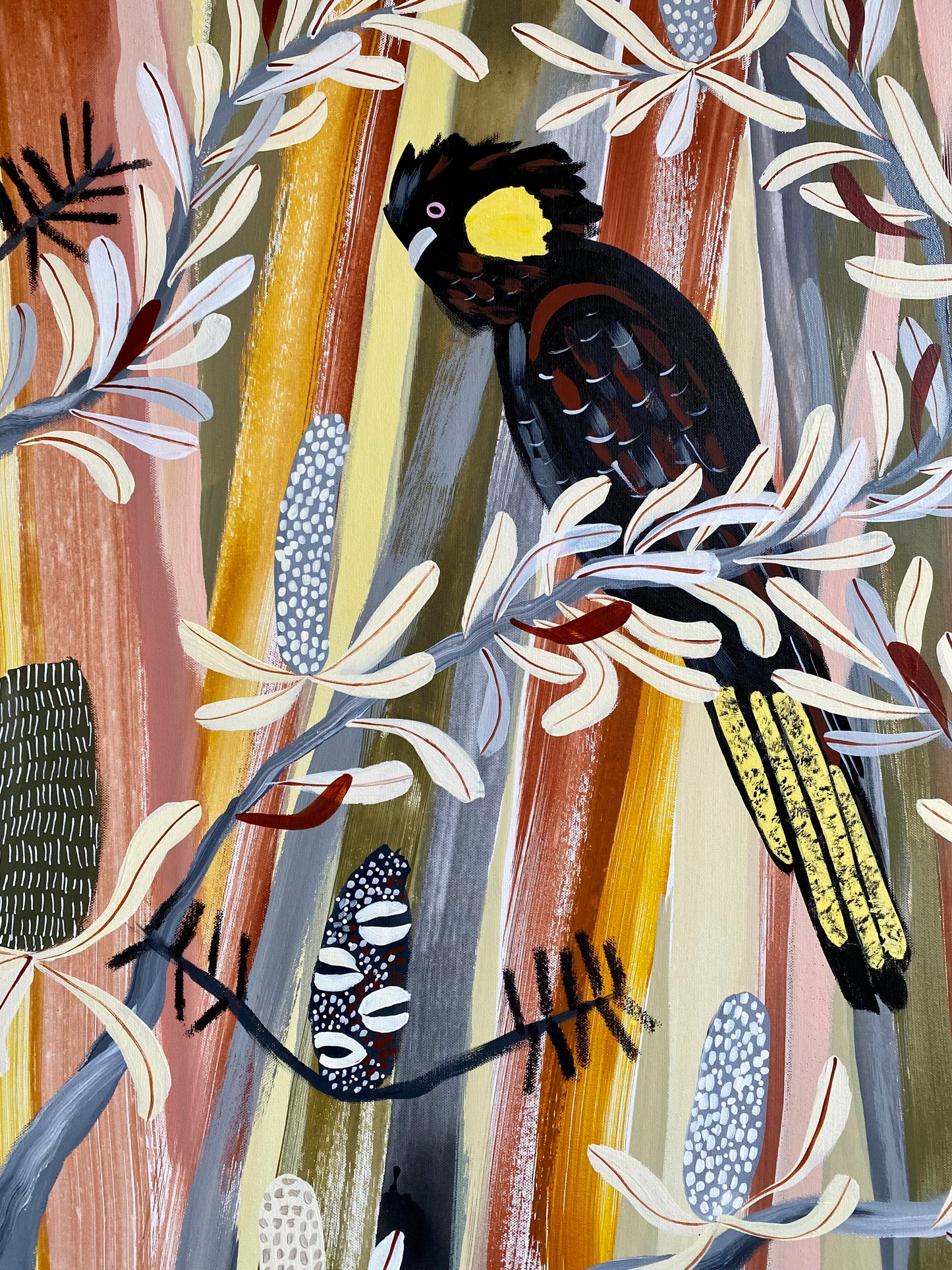Desert Natives and Black Cockatoos #2