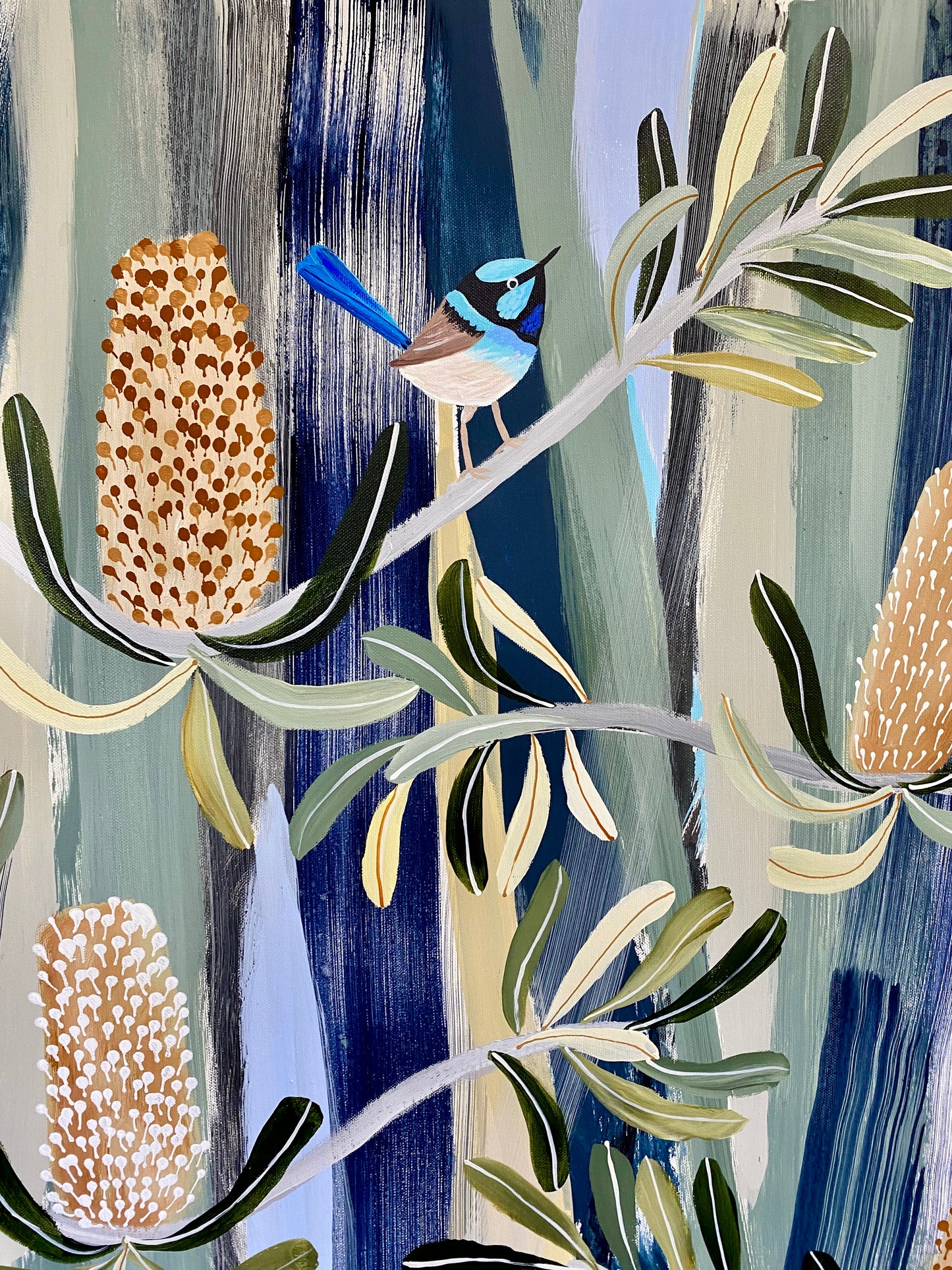 Blue Mountains Banksia with Fairy Wrens - NSW