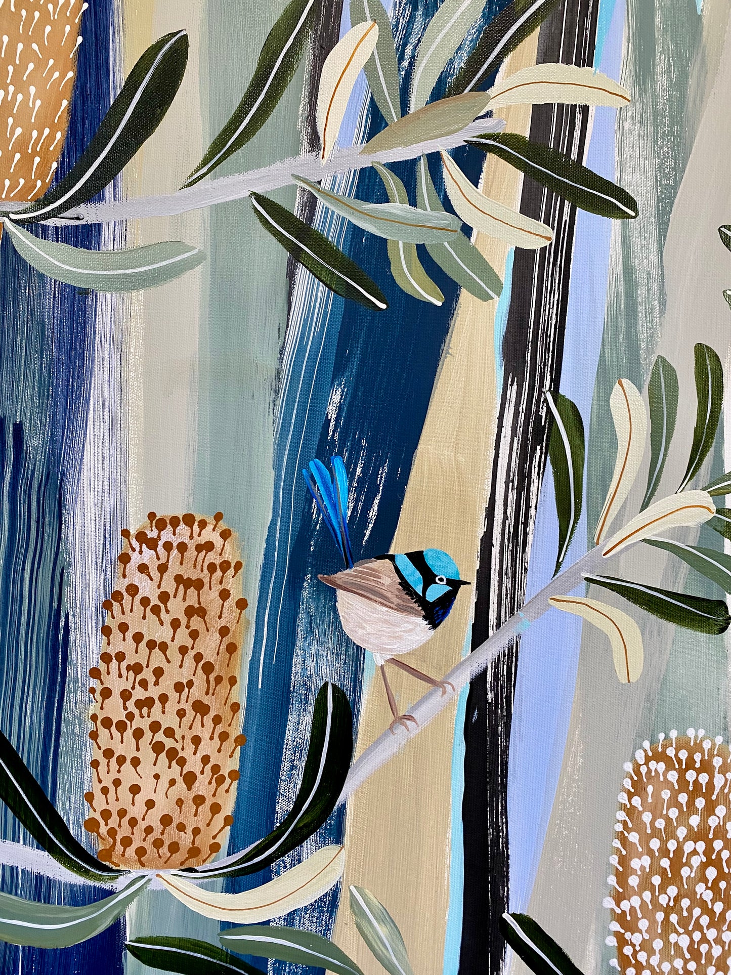 Blue Mountains Banksia with Fairy Wrens - NSW