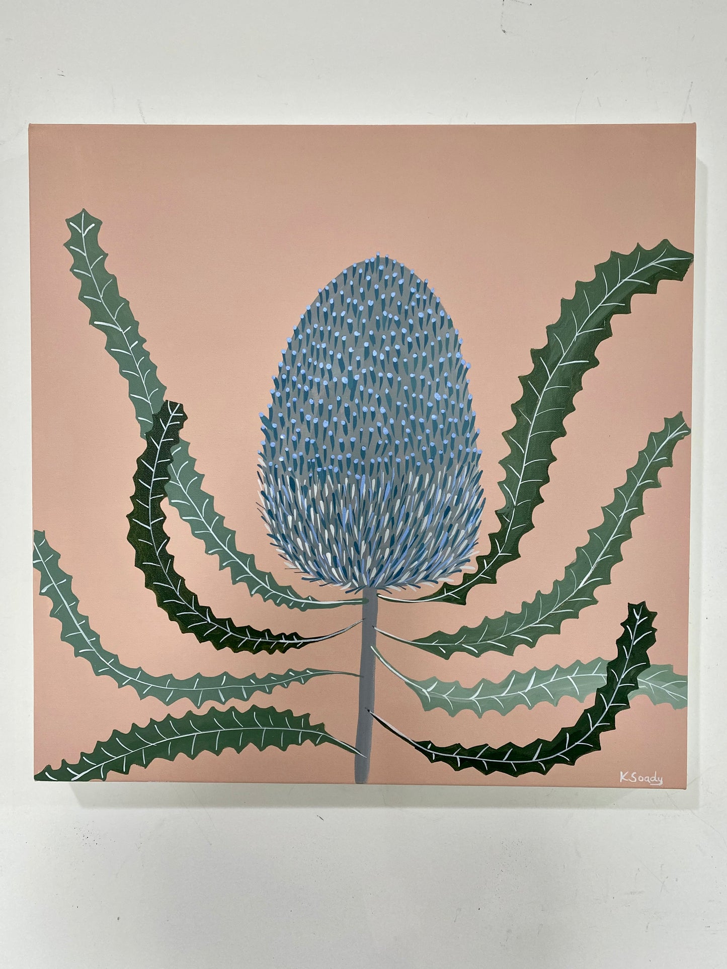 Blue Banksia - Sydney