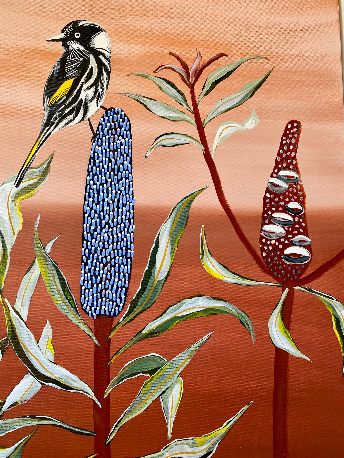 Blue Banksia & Honeyeater