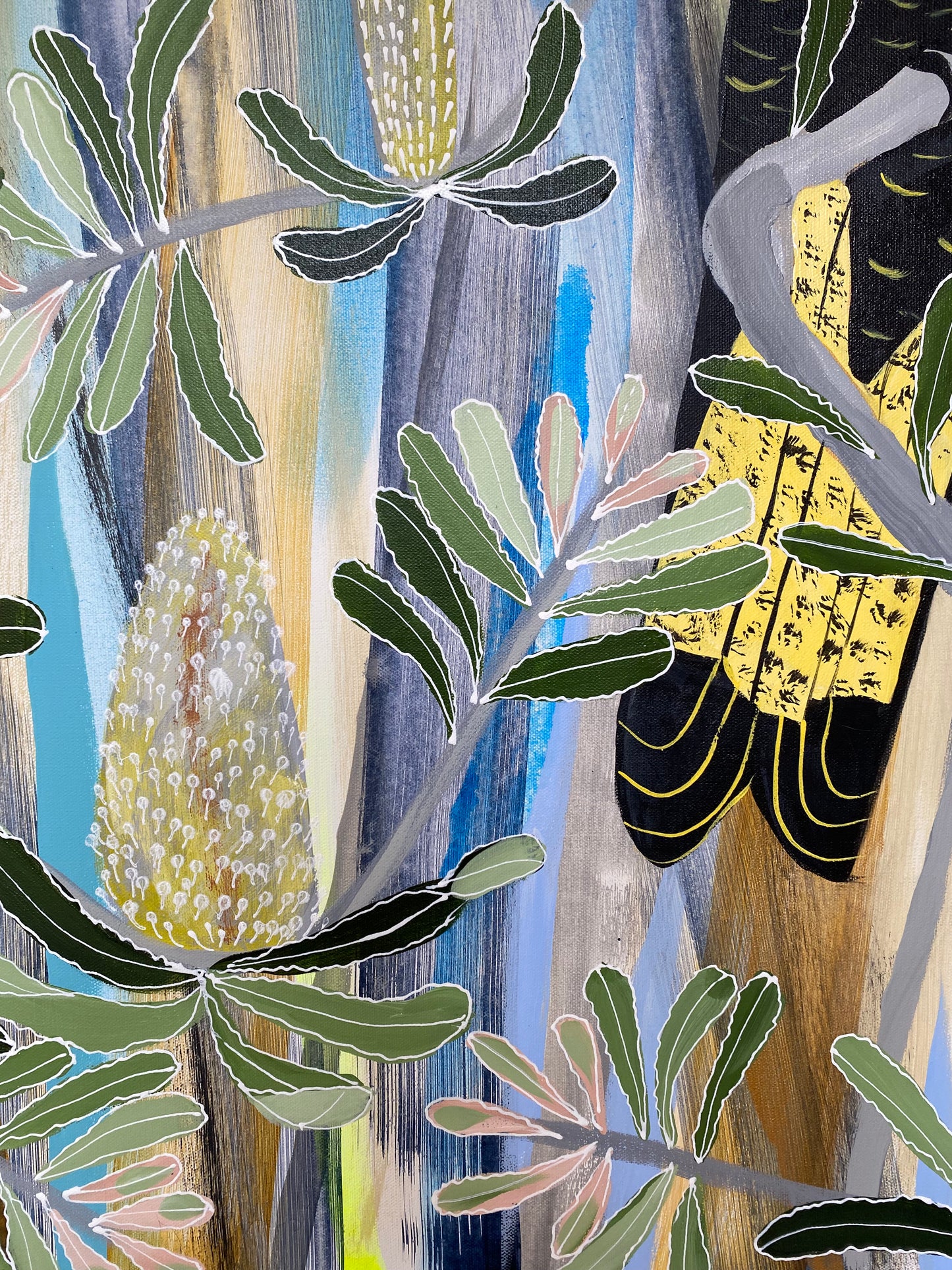 Black Cockies in the Banksia