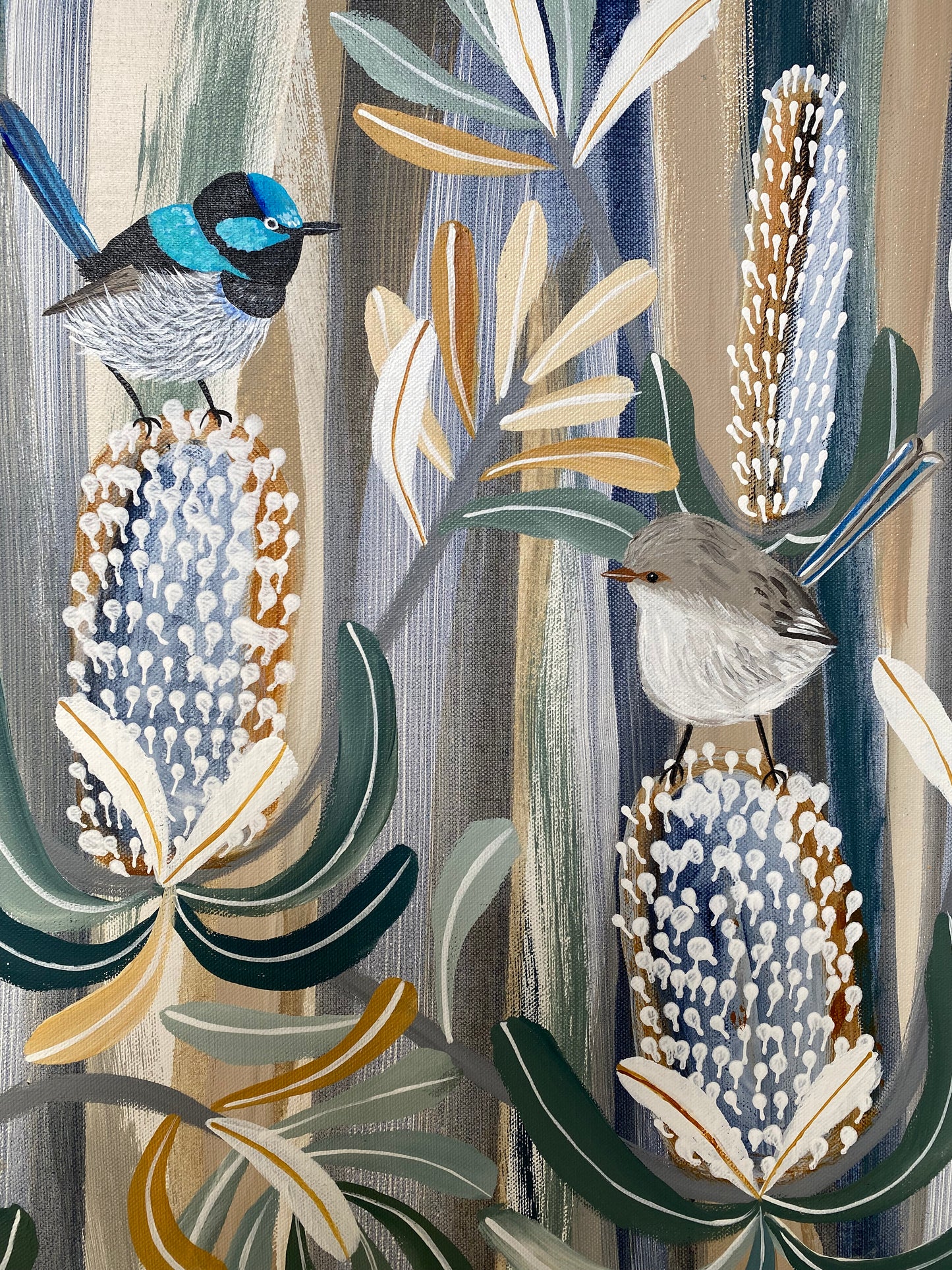 Banksia and Fairy Wrens