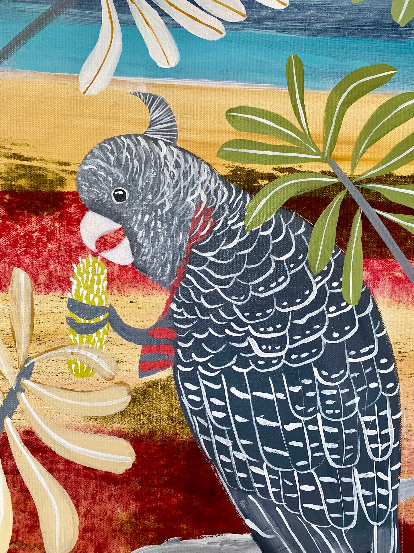 Gang-gangs in the Banksia