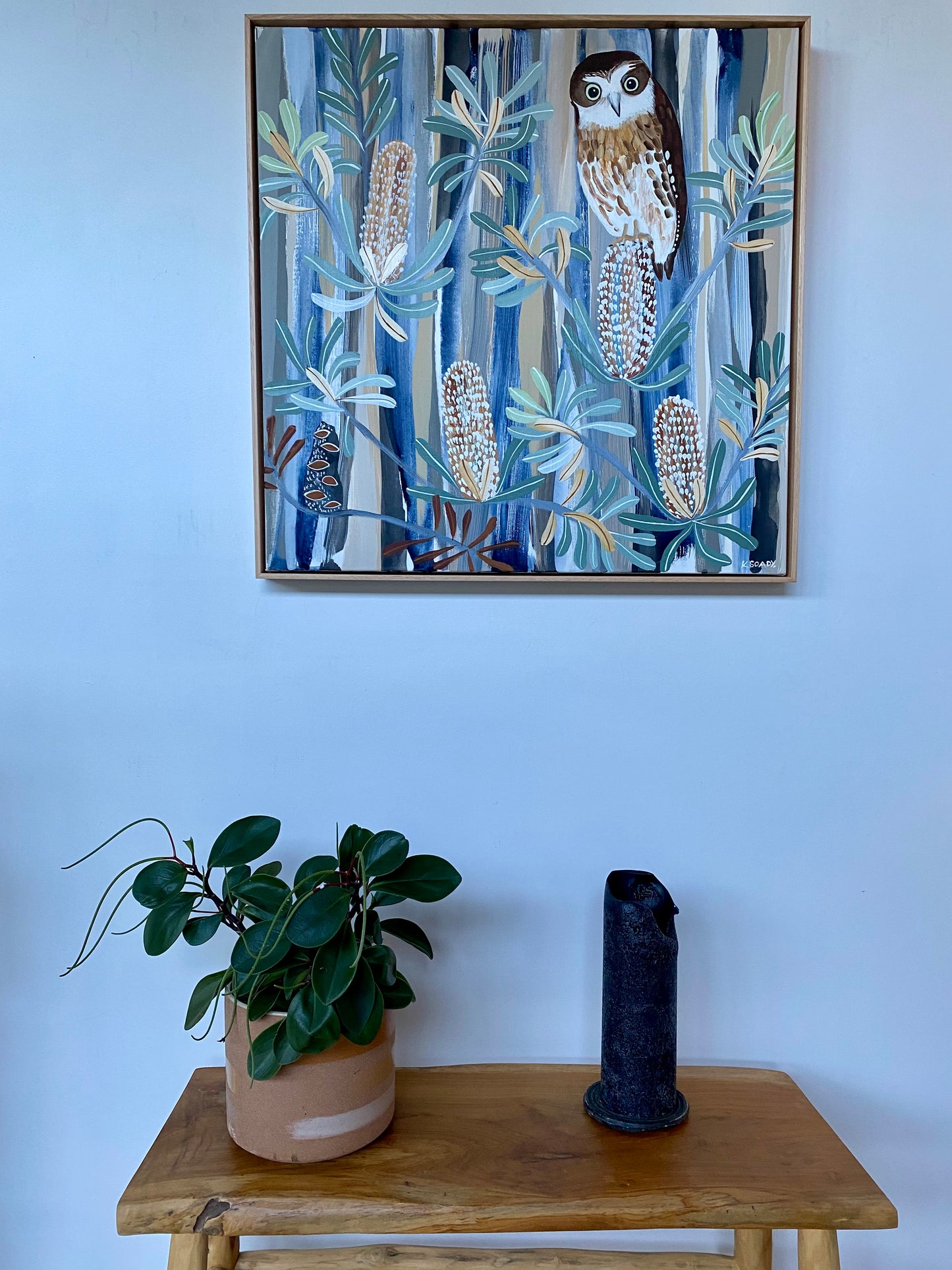 Boobook in the Banksias