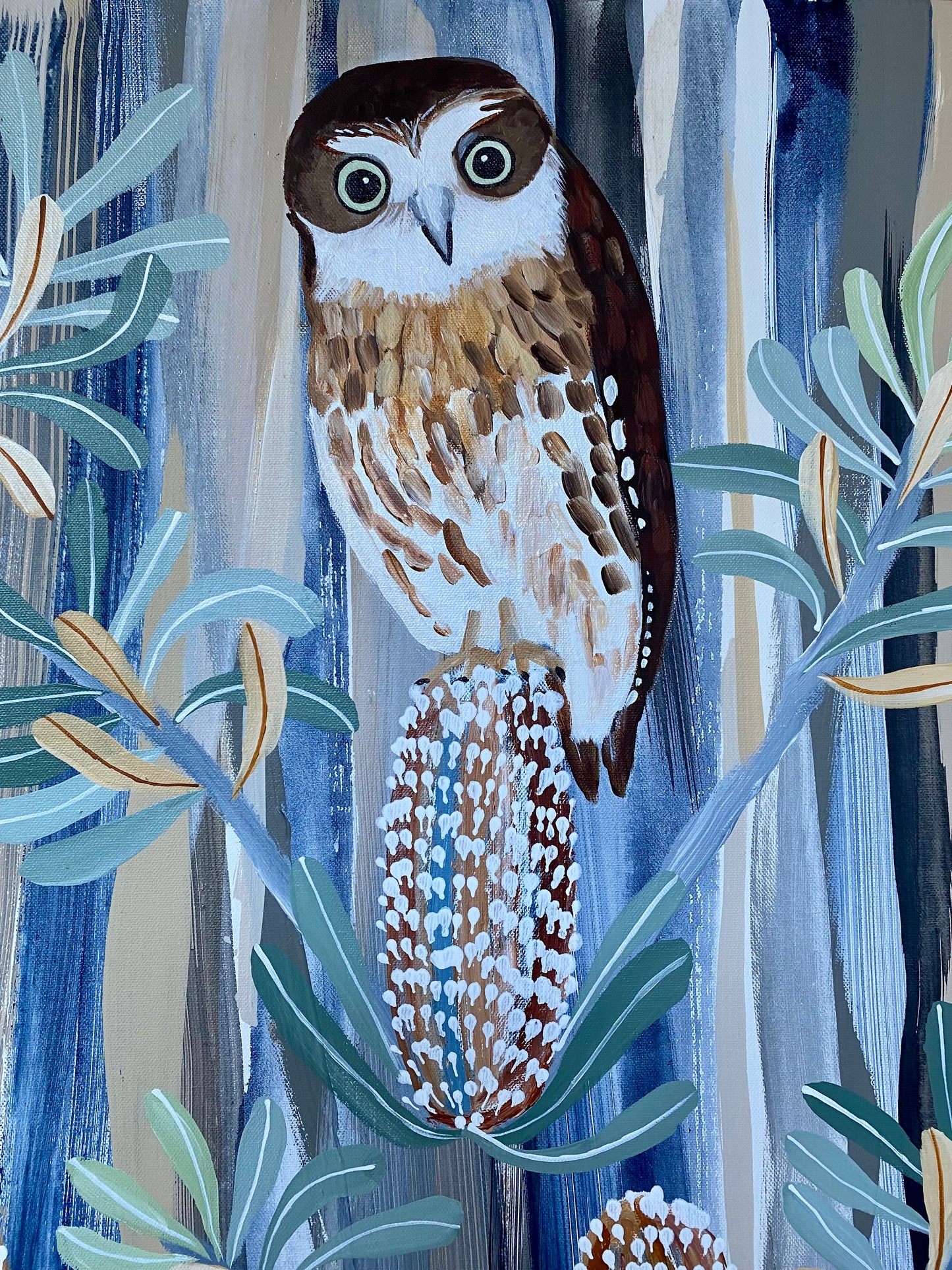 Boobook in the Banksias