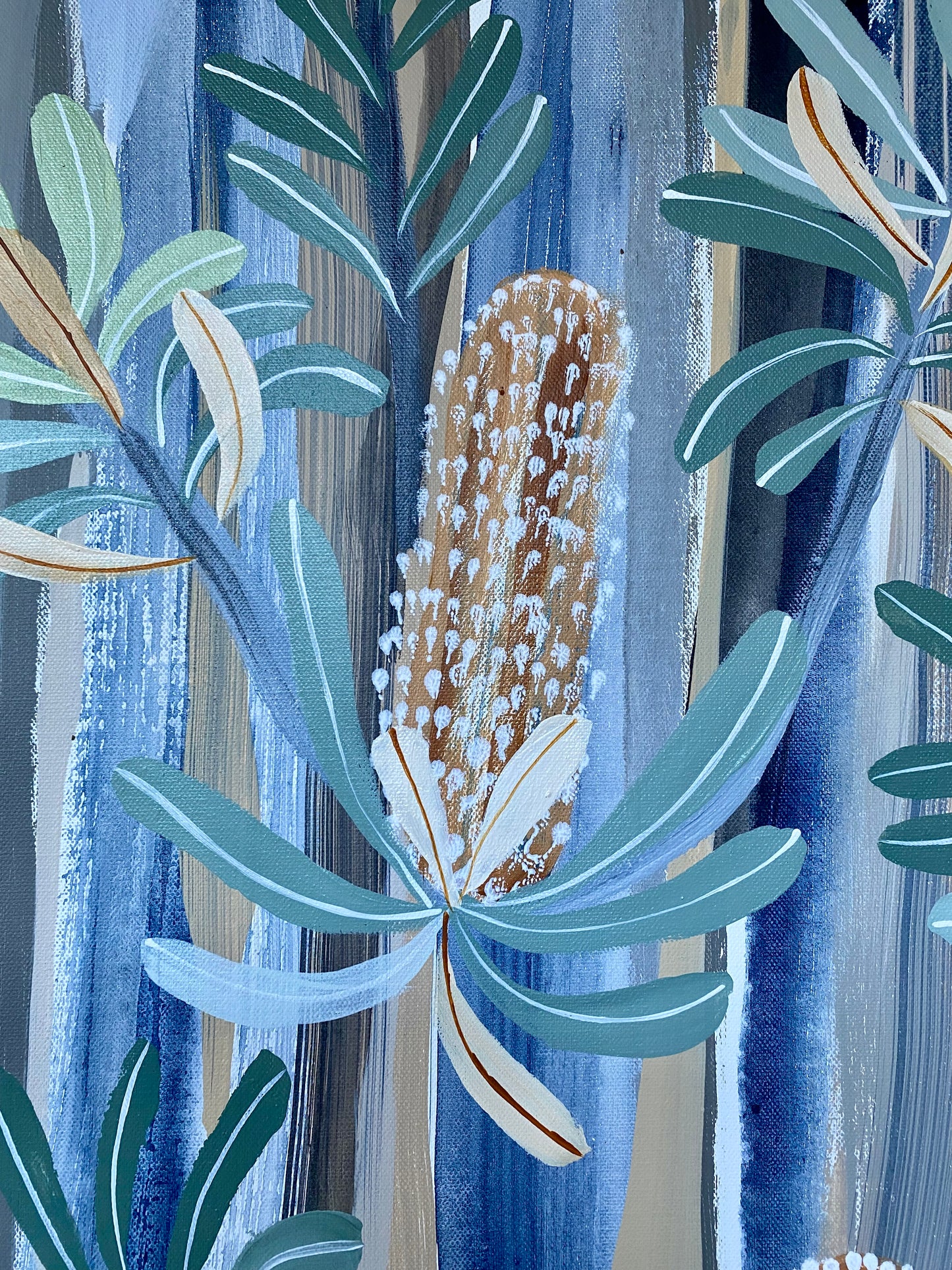 Boobook in the Banksias