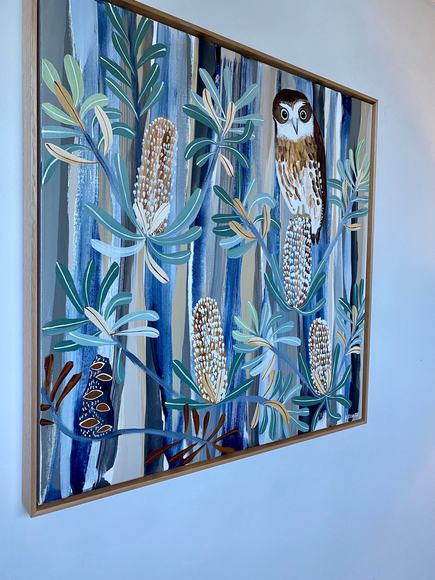 Boobook in the Banksias