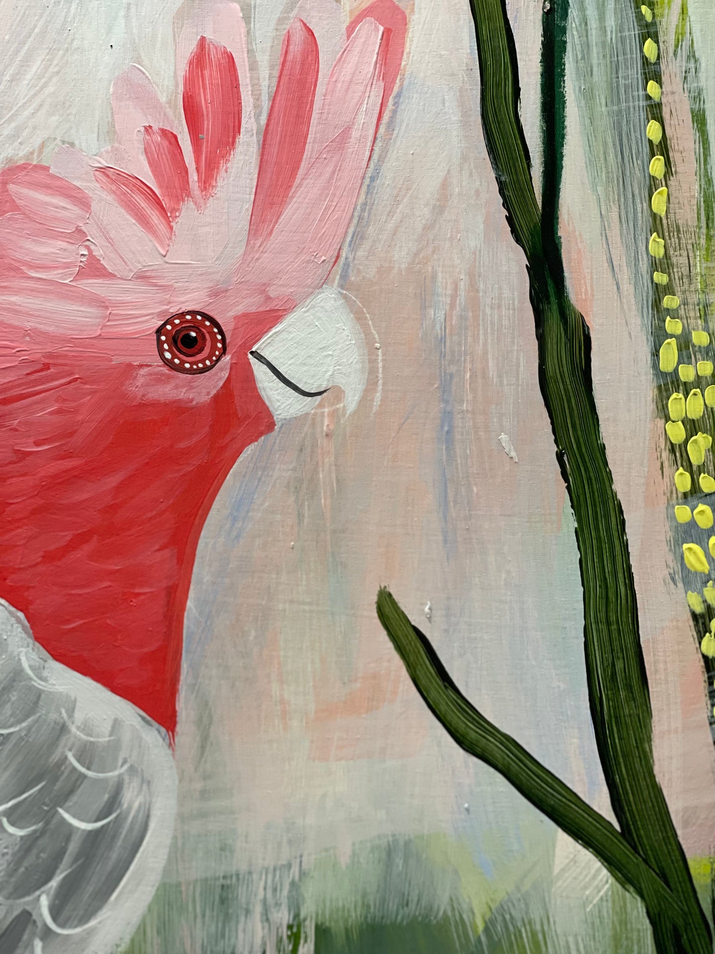 Galah Abstract
