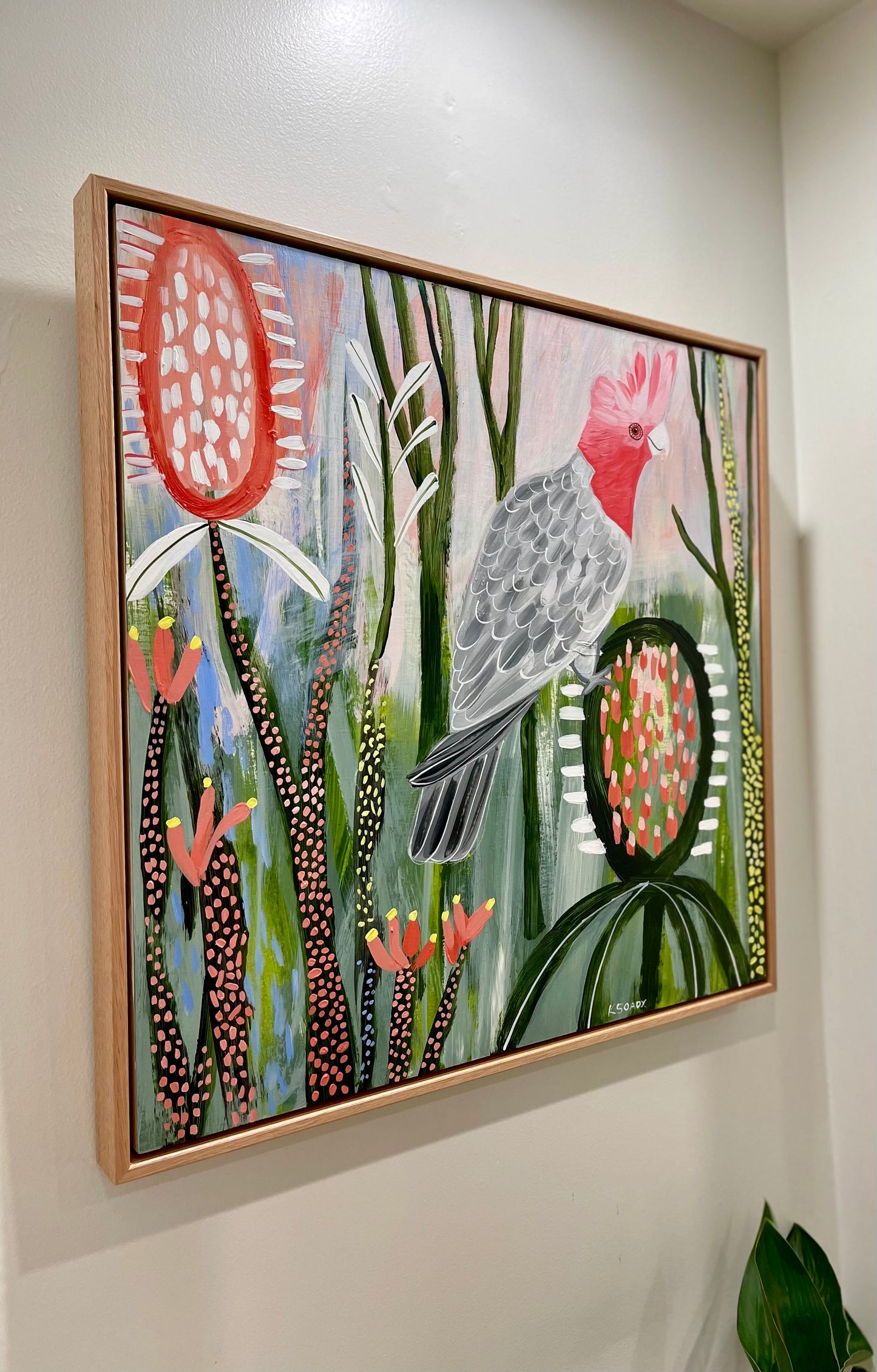 Galah Abstract