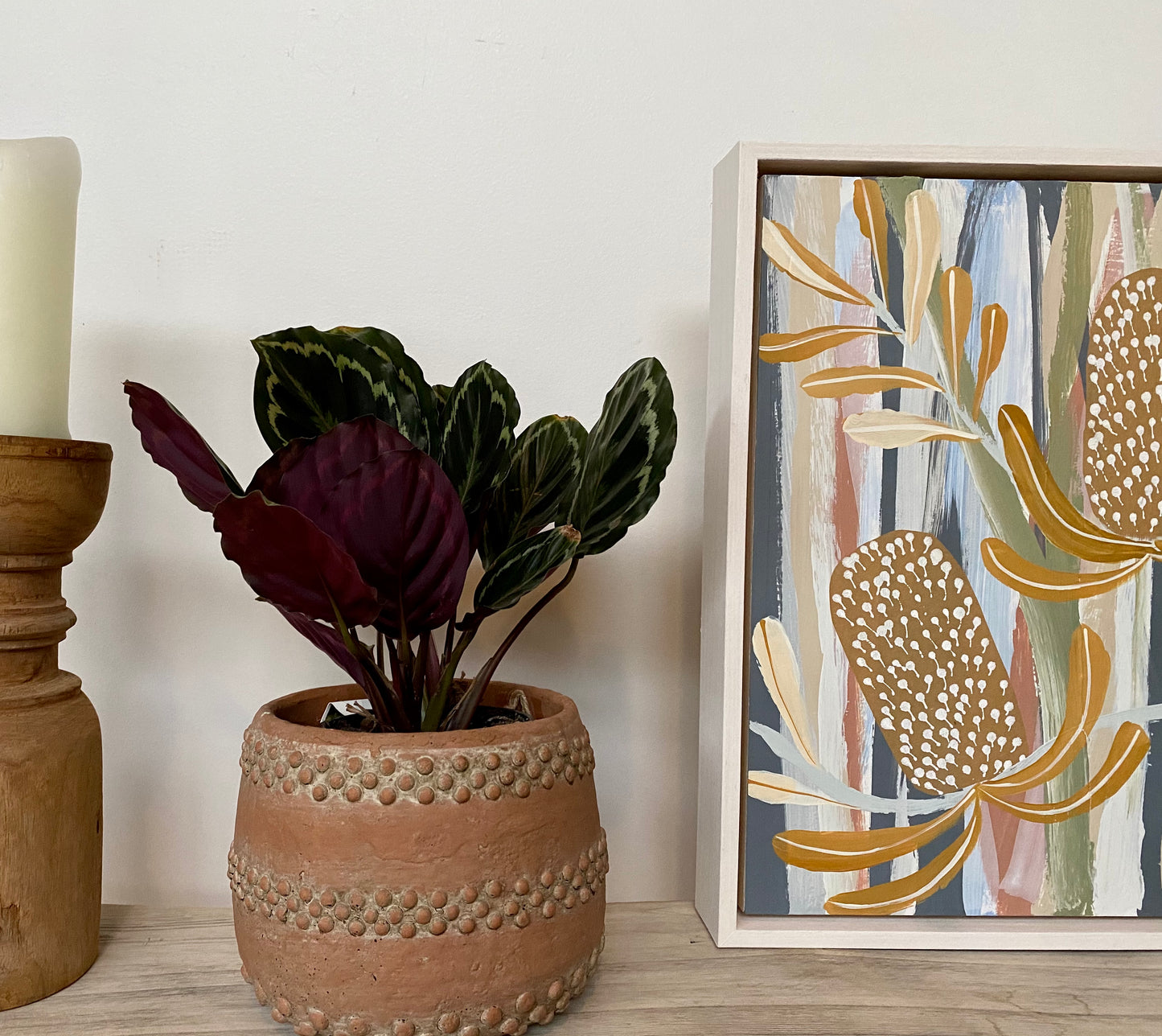Native Banksia #3
