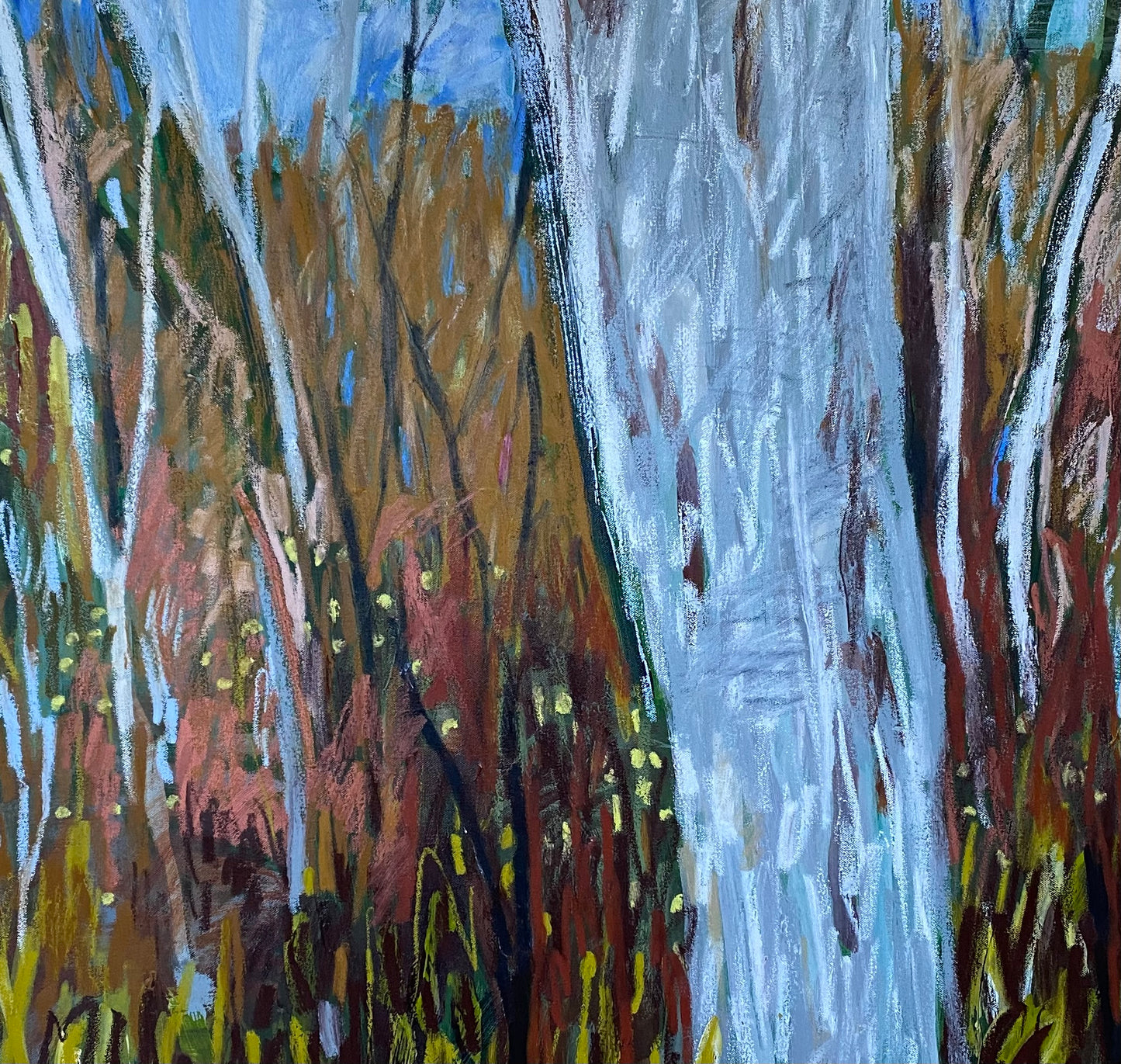 Winter Walk #1