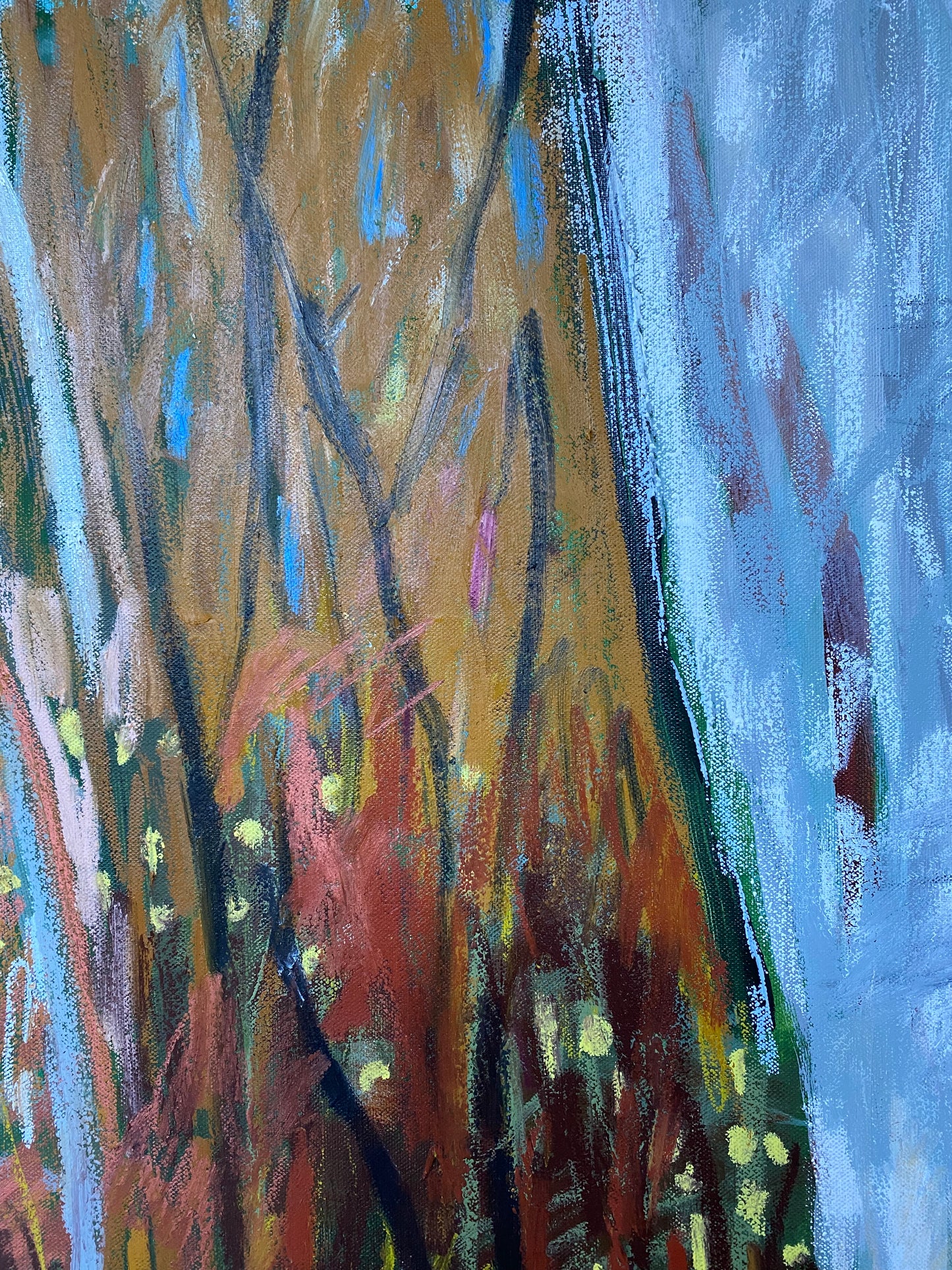 Winter Walk #1