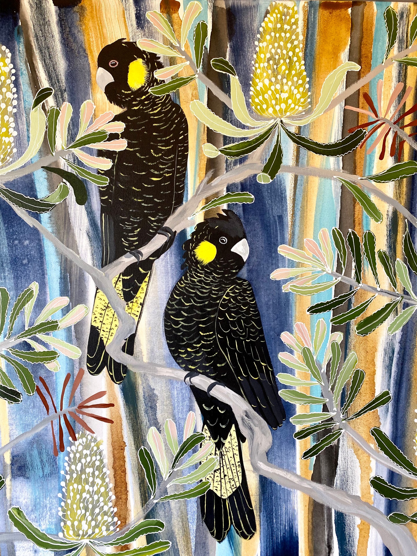 Bush Walk and Black Cockatoos