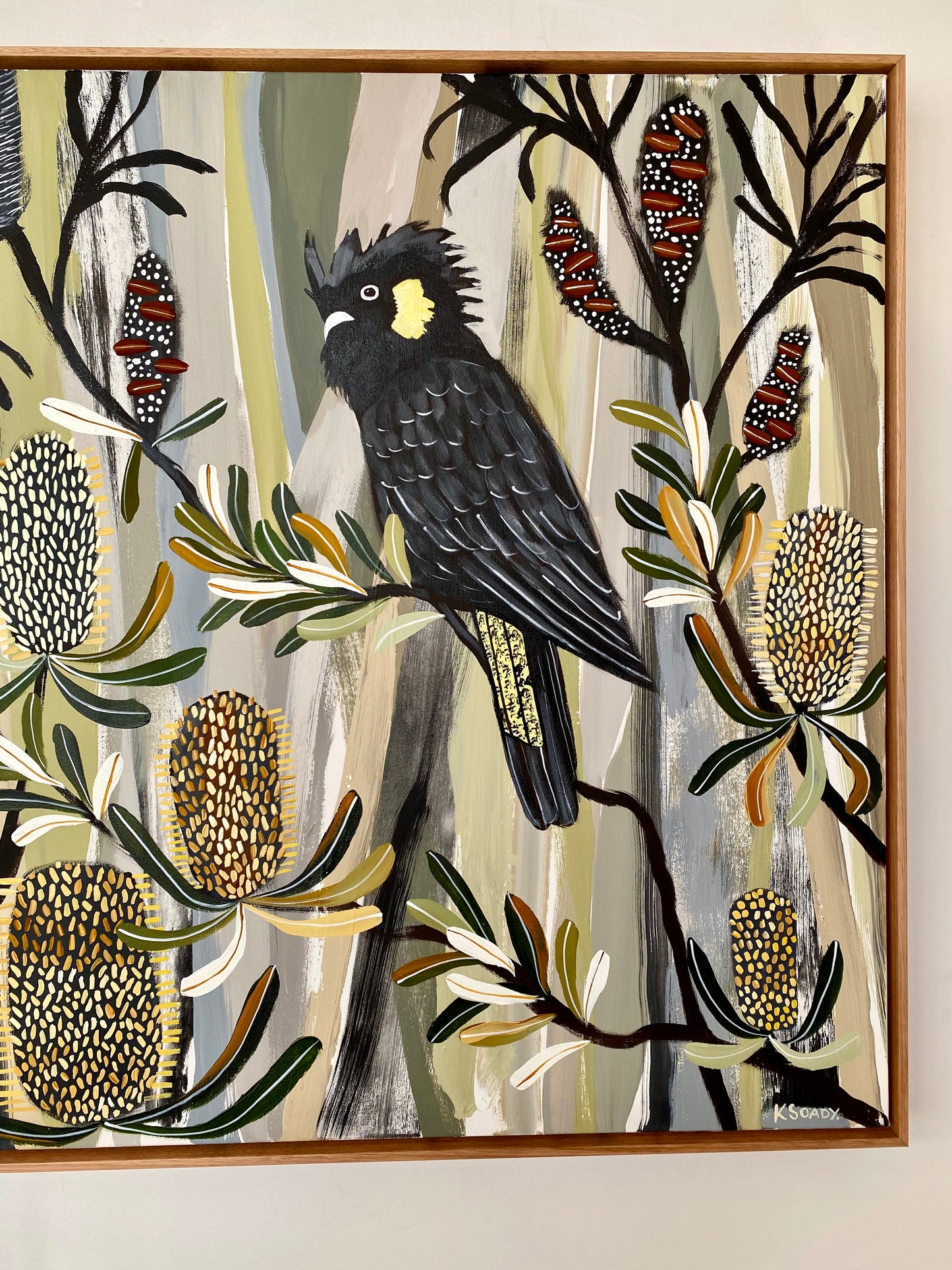 Black Cockatoos in the Banksia